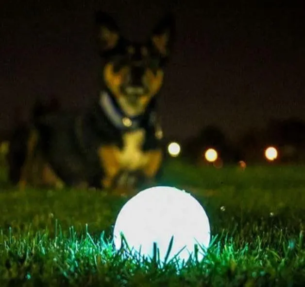 Chuckit ! Max Glow, Palla di gommafosforescente per cani, Grande - immagine 2