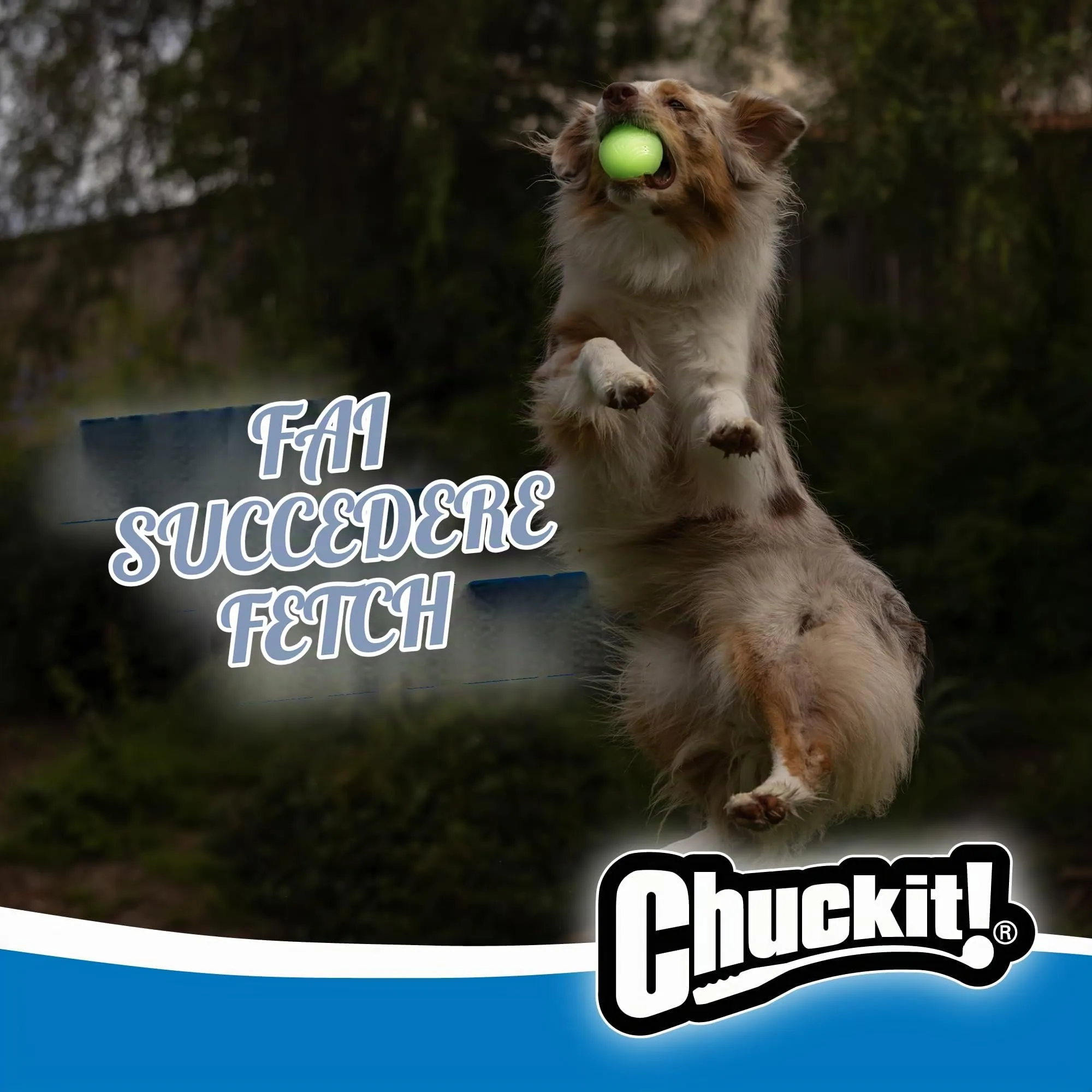 Chuckit ! Max Glow, Palla di gommafosforescente per cani, Grande - immagine 3