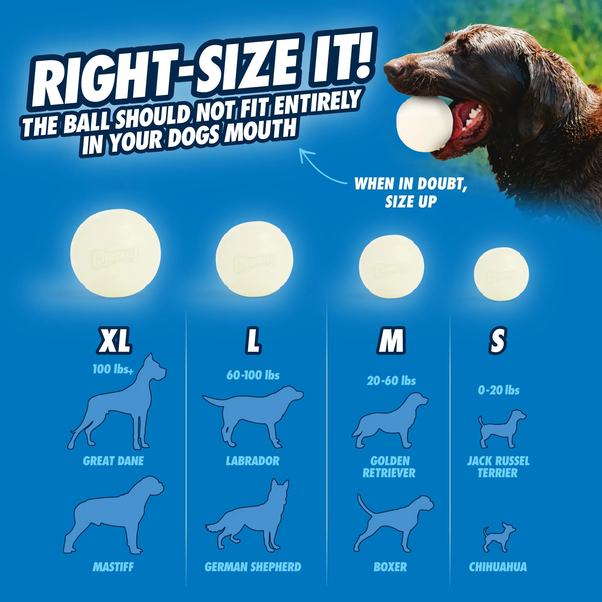 Chuckit ! Max Glow, Palla di gommafosforescente per cani, Grande - immagine 7