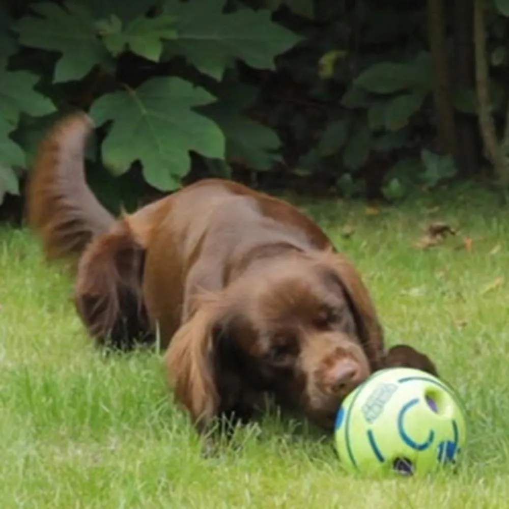 Euro Marketing Manufacturing Doggies Ball palla per cani, gioco interattivo, adatto a tutte le taglie - immagine 2