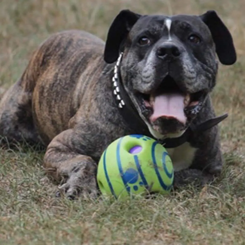 Euro Marketing Manufacturing Doggies Ball palla per cani, gioco interattivo, adatto a tutte le taglie - immagine 3