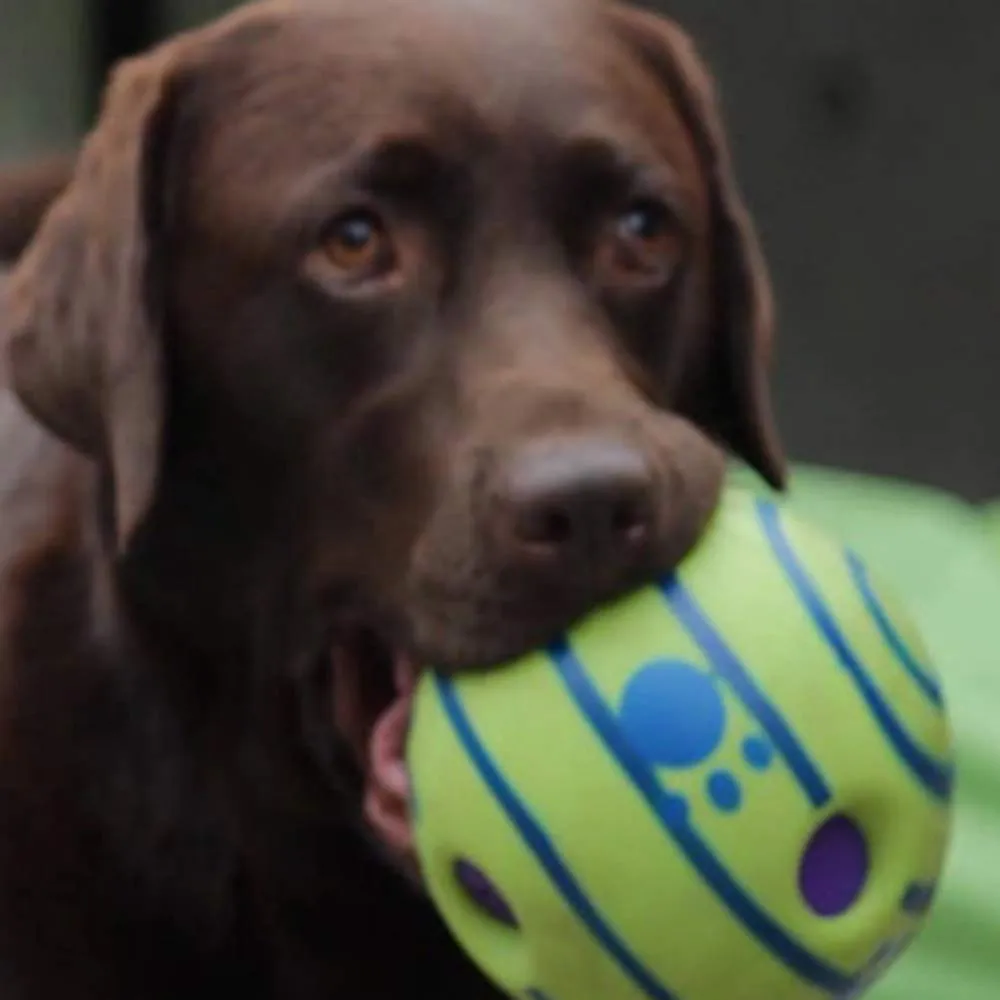 Euro Marketing Manufacturing Doggies Ball palla per cani, gioco interattivo, adatto a tutte le taglie - immagine 4