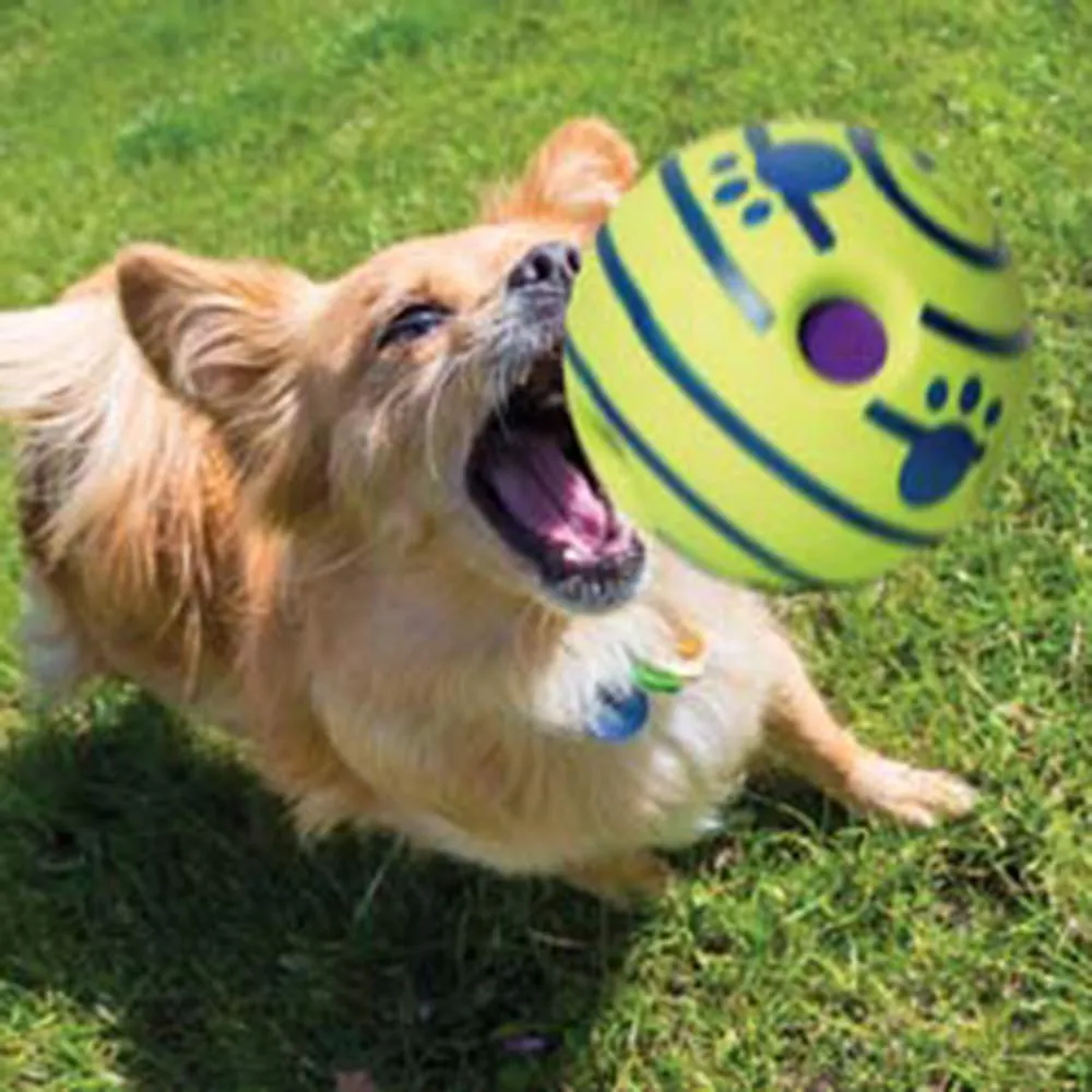 Euro Marketing Manufacturing Doggies Ball palla per cani, gioco interattivo, adatto a tutte le taglie - immagine 5