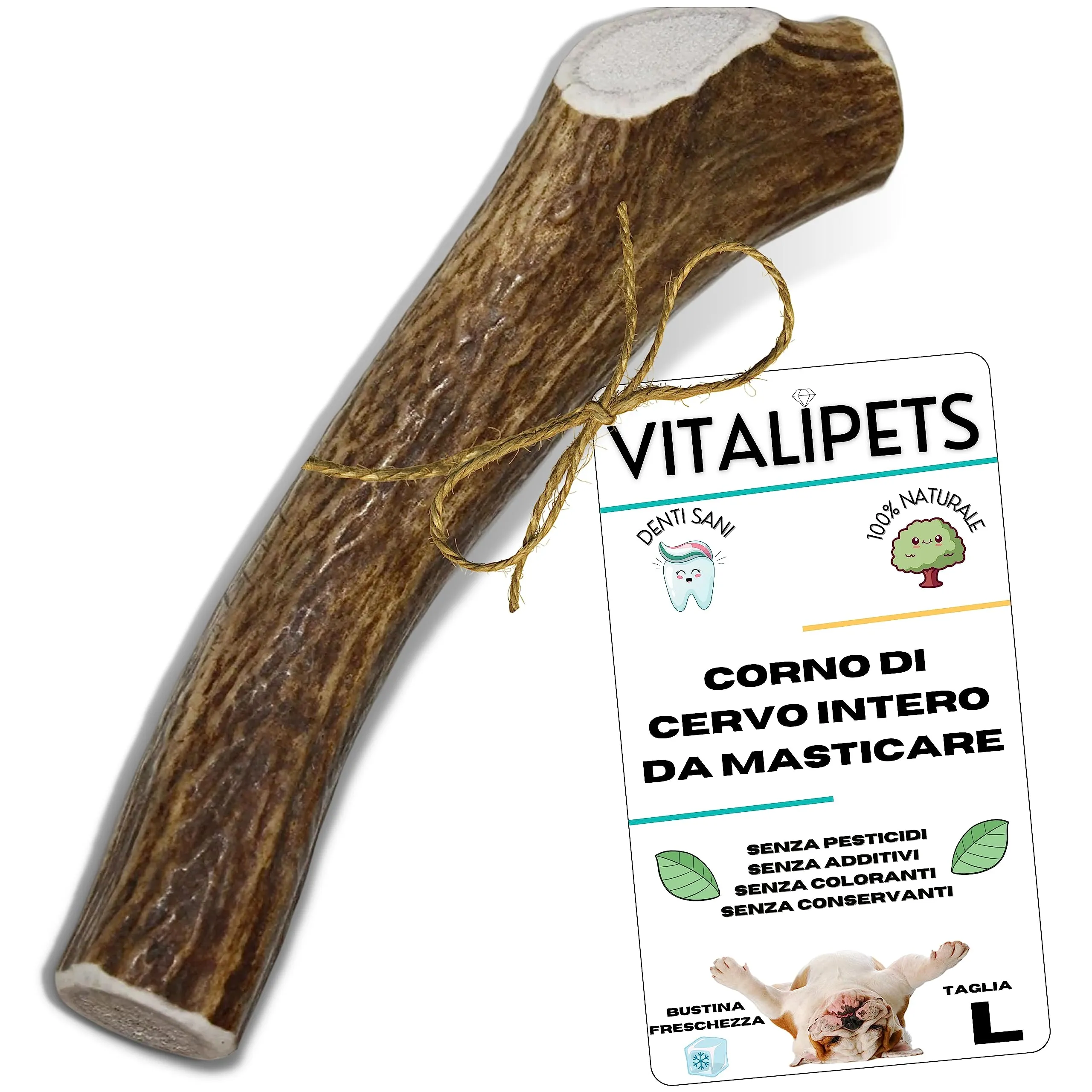 Corno di Cervo per Cani, Taglia L 20 a 30 Kg - immagine 1