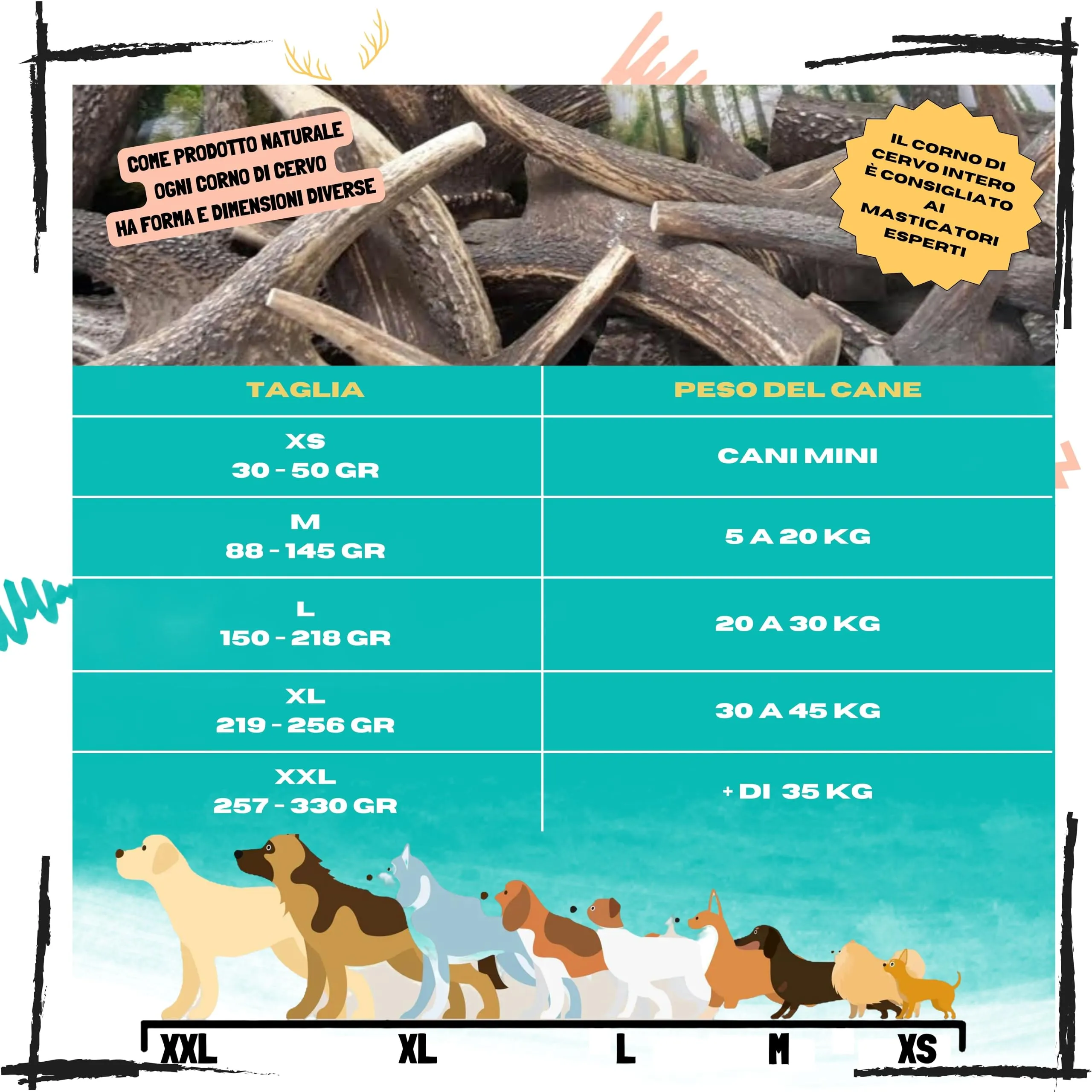 Corno di Cervo per Cani, Taglia L 20 a 30 Kg - immagine 8