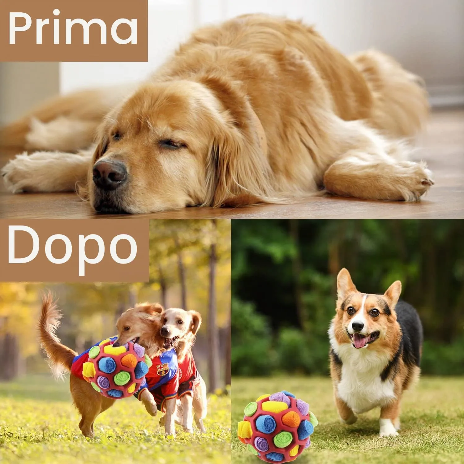 BINYI Tappetino Snuffle Mat per Cani - Giochi Interattivi Indistruttibili, Palla da Fiuto, Addestramento per Cani di Piccola Taglia Media e Grandi - immagine 5