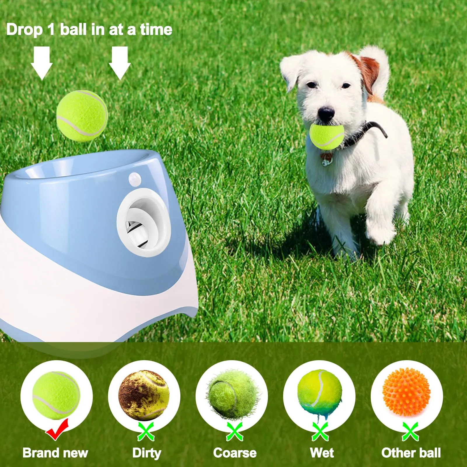 Galatée Lanciatrice Automatica a Sfera, Lanciagranate Per Palline Interattiva, Lanciagrana Automatica Per Cani, Lanciatore Di Palle Per Cani Con 6 Mini Palline Da Tennis(Blu) - immagine 2