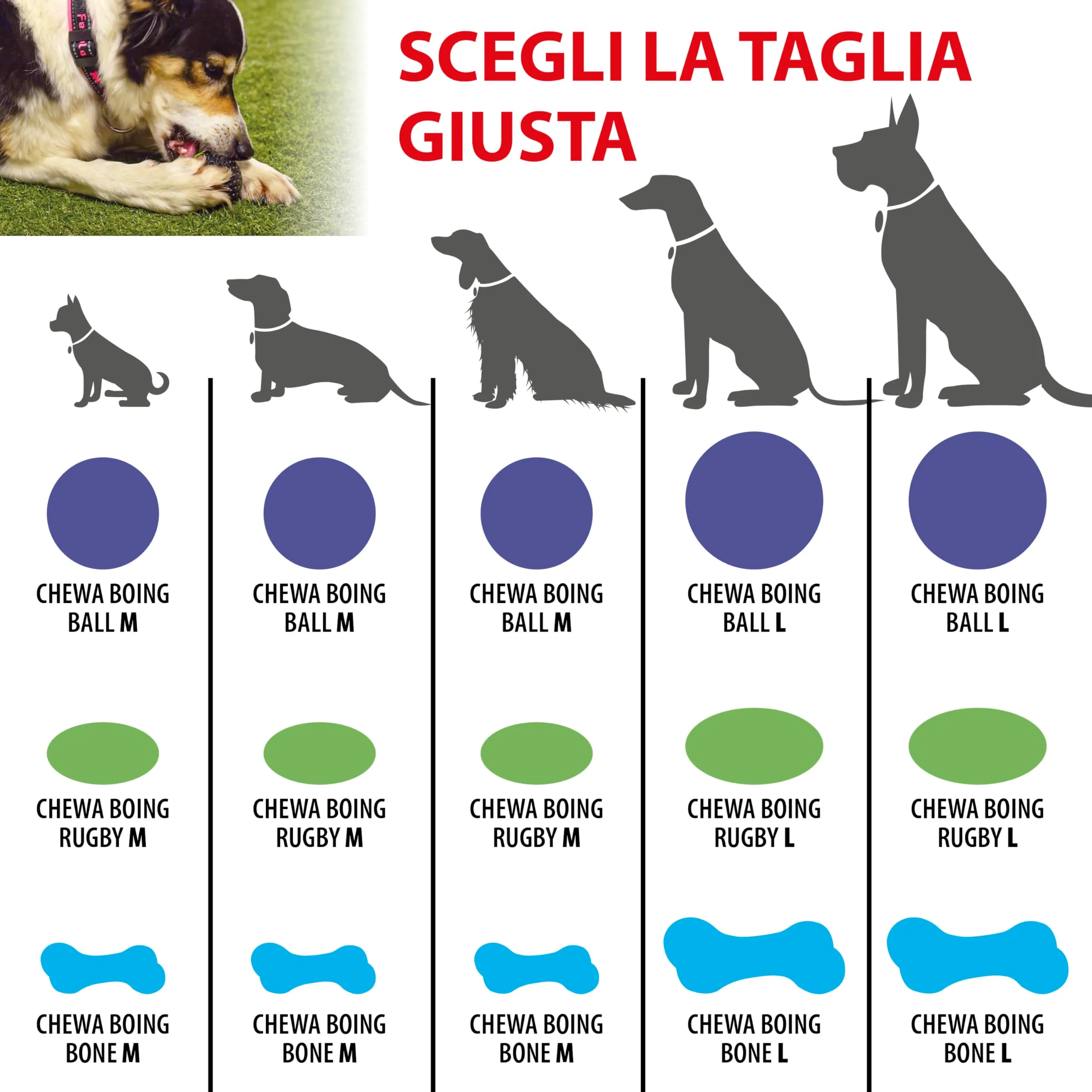 Ferplast Gioco per Cane CHEWA BOING RUGBY - Pallina in Materiale Durevole, Atossico, Resistente ai Morsi - per Igiene Dentale, Rimbalza e Galleggia - Misura Media, Nero - immagine 4