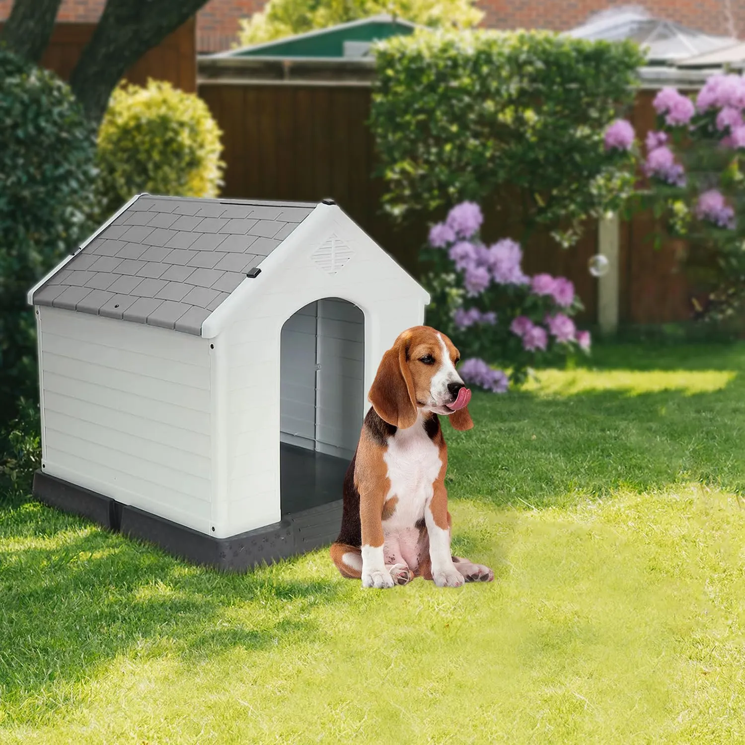 AQPET Cuccia Cani in Plastica M, Pavimento Rialzato, 87x78x81 cm, Grigio - immagine 7
