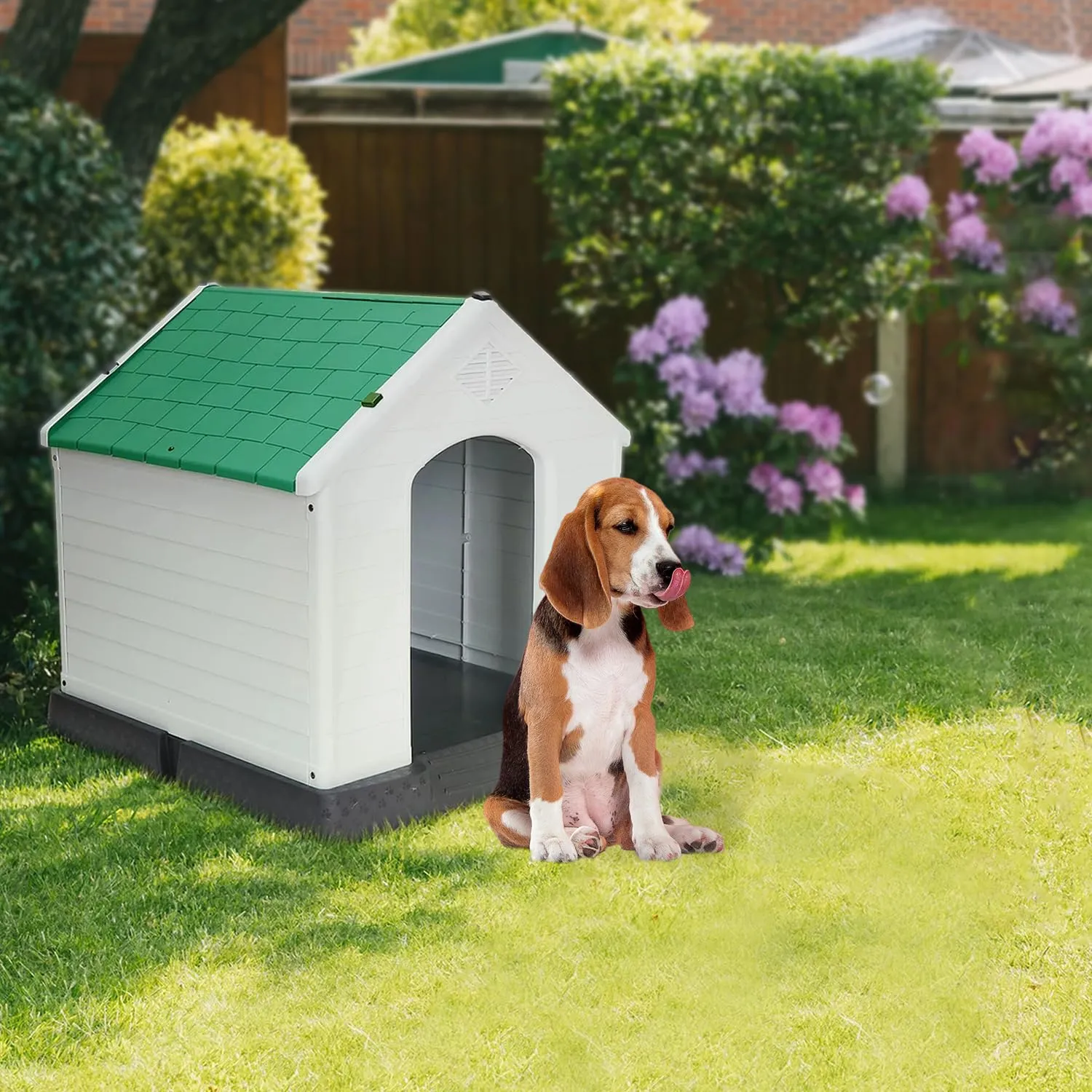 AQPET Cuccia Cani in Plastica M, Pavimento Rialzato, 87x78x81 cm, Verde - immagine 7