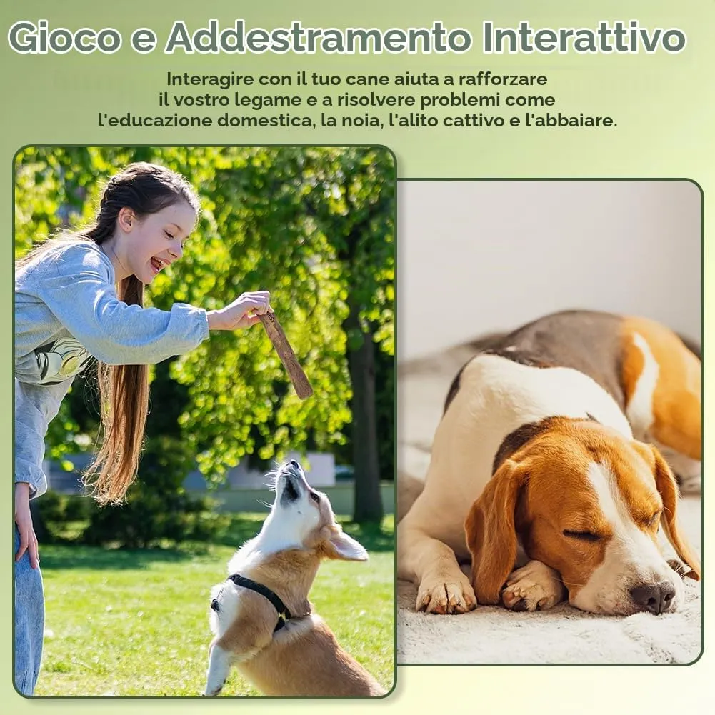 AYESY Legno di Caffè per Cani, 2PZ S Bastone da Masticare Naturale, Giocattolo per per Cani e Cuccioli, Cura dei Denti e Allevia l'ansia, Bastoncino da Masticare per Cane Indistruttibile 100% Naturale - immagine 5