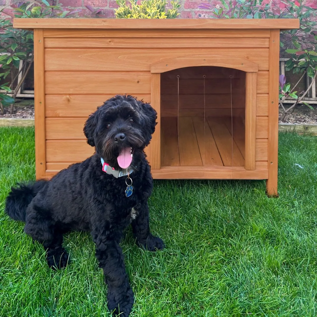 Cuccia per cani di piccola taglia casa per animali H 58cm H x 86cm L x 63cm P tetto apribile con cerniera Sportelli rimovibili sul pavimento Resistente alle intemperie Legno di abete Facile da pulire - immagine 5