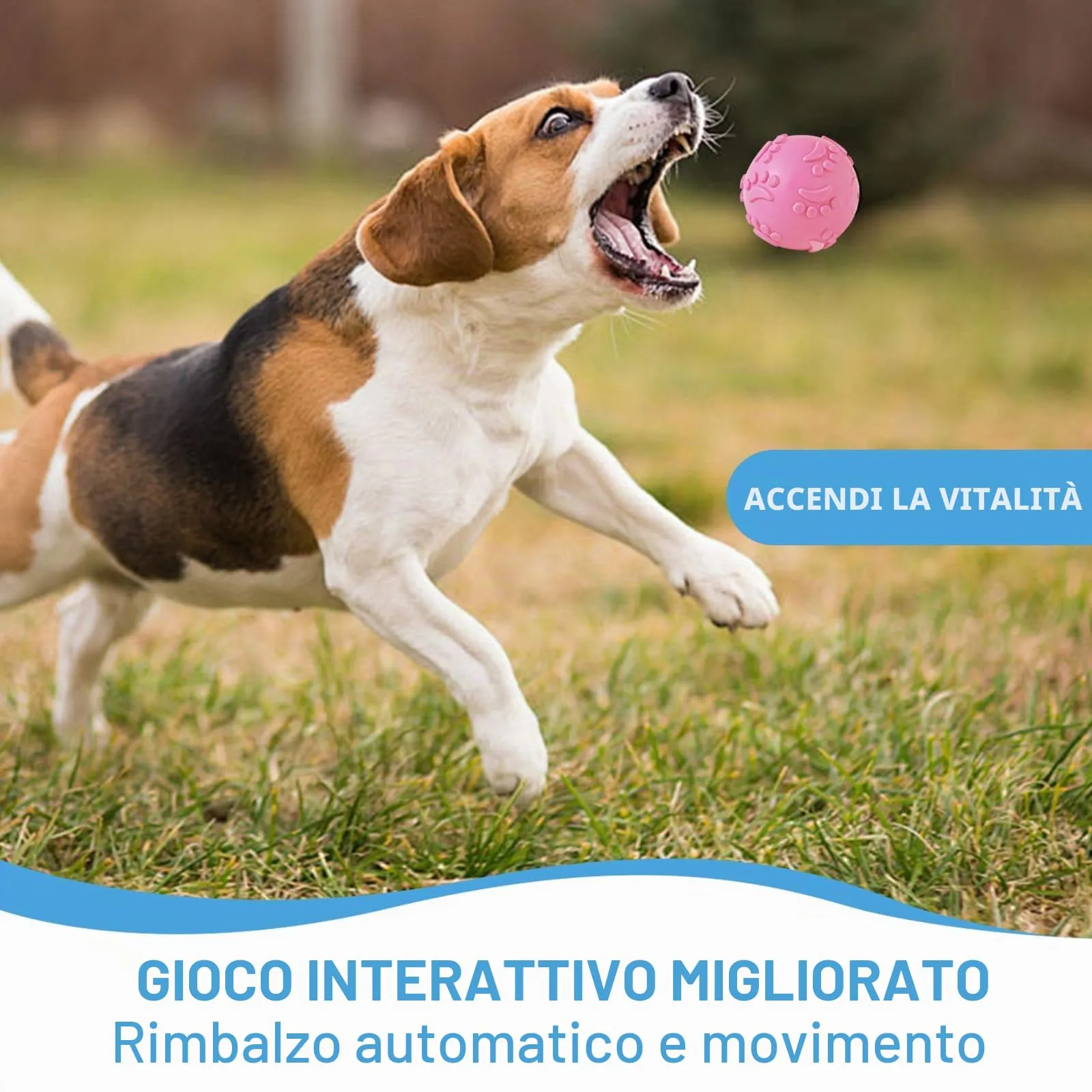 3 Pcs Palle Giocattolo per Cani, Palline che Squittiscono, Palline per Cani - immagine 4