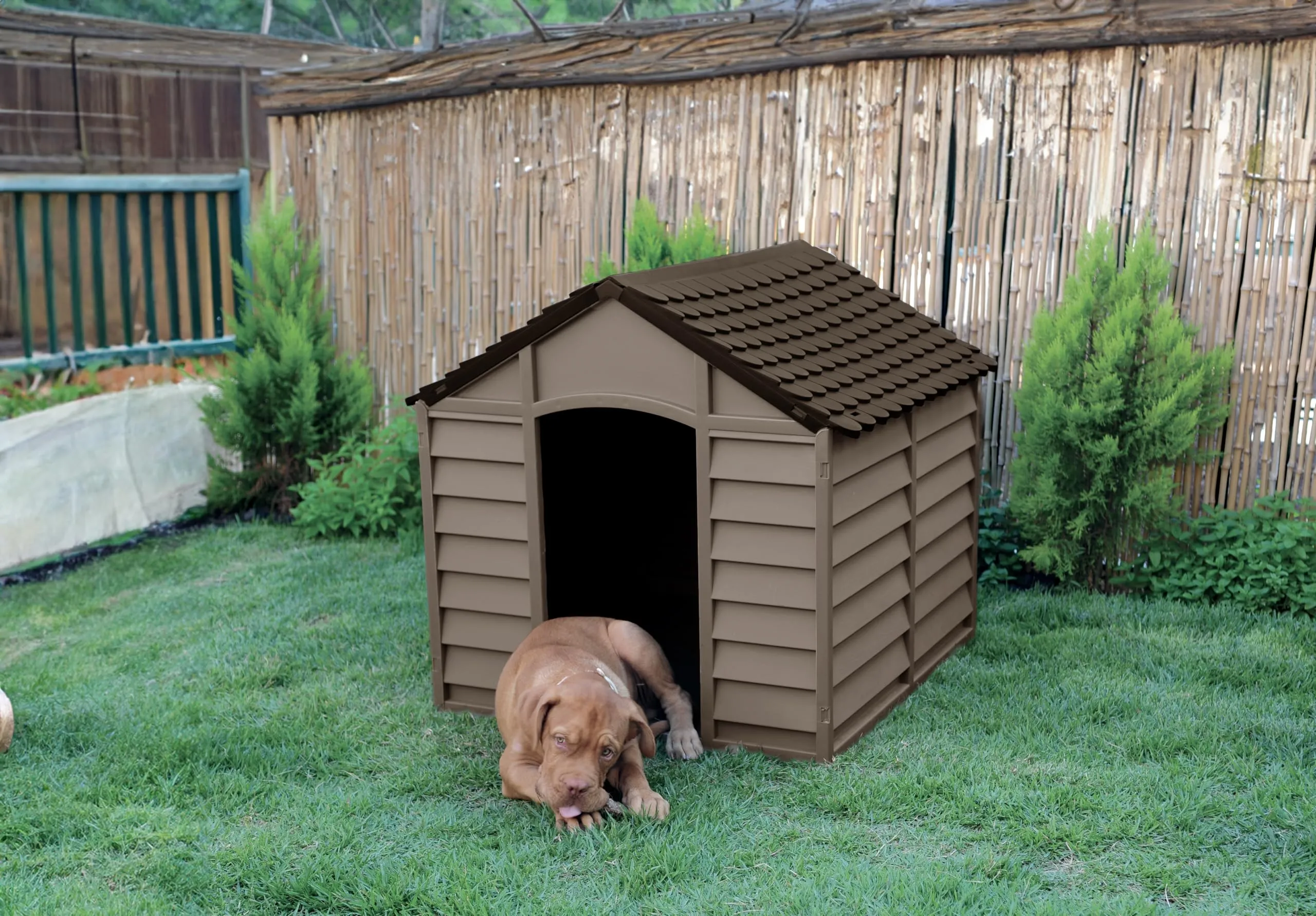 Avanti Trendstore - Kennel - Cuccia per cani in plastica sia per l'esterno che per l'interno, disponibile nel colore Moka. Dimensioni LAP: 78x80,5x84,5cm - immagine 6