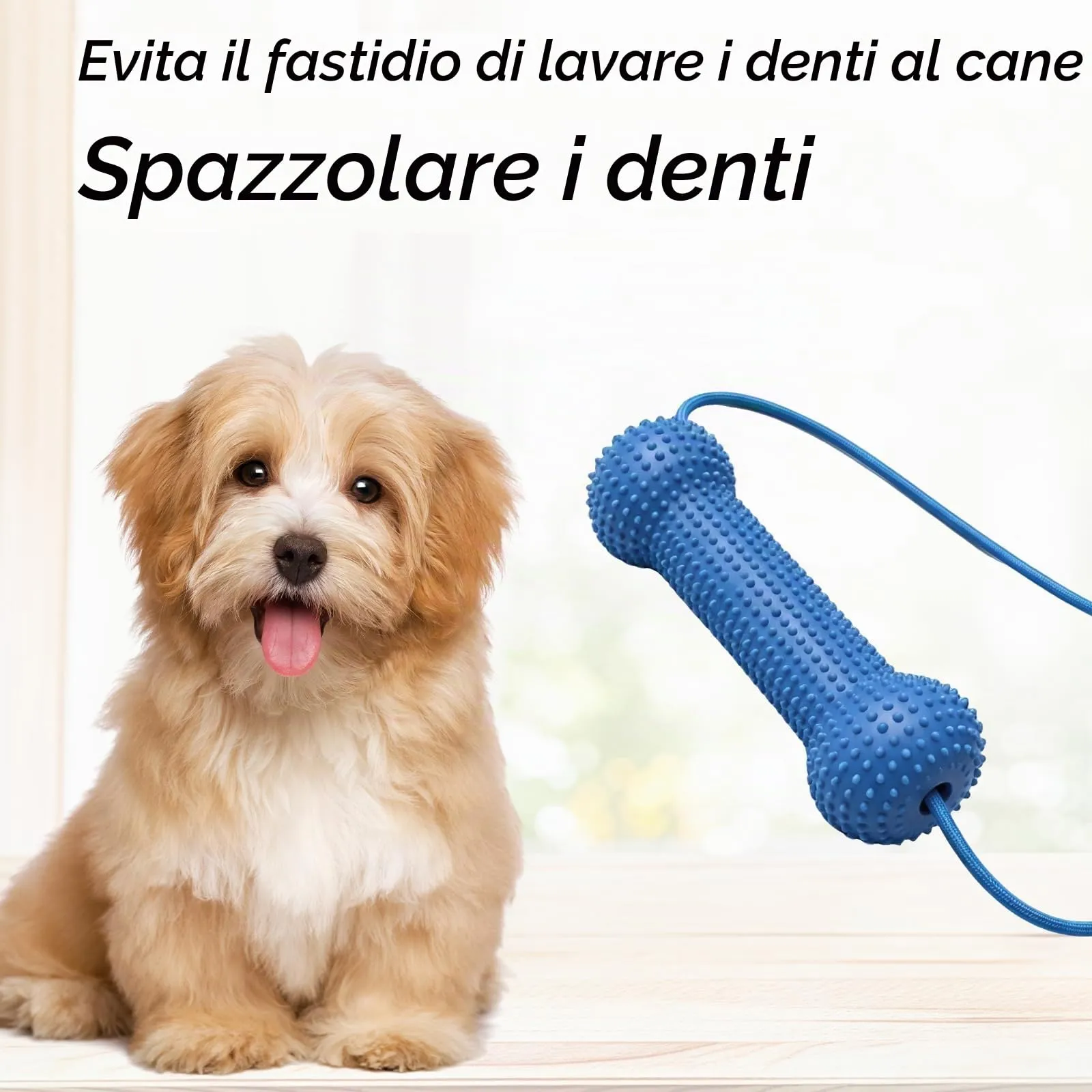 2 Pezzi Giocattolo Spazzola Pulizia Denti Cane (Blu) - immagine 6