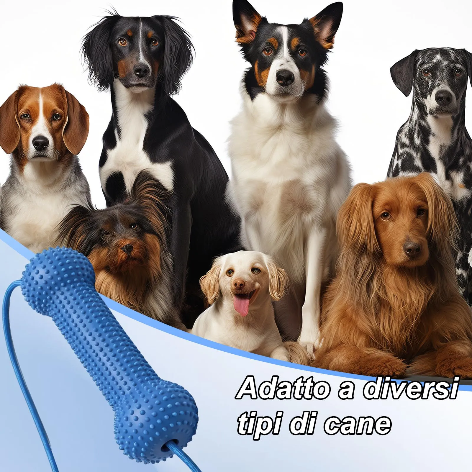 2 Pezzi Giocattolo Spazzola Pulizia Denti Cane (Blu) - immagine 7