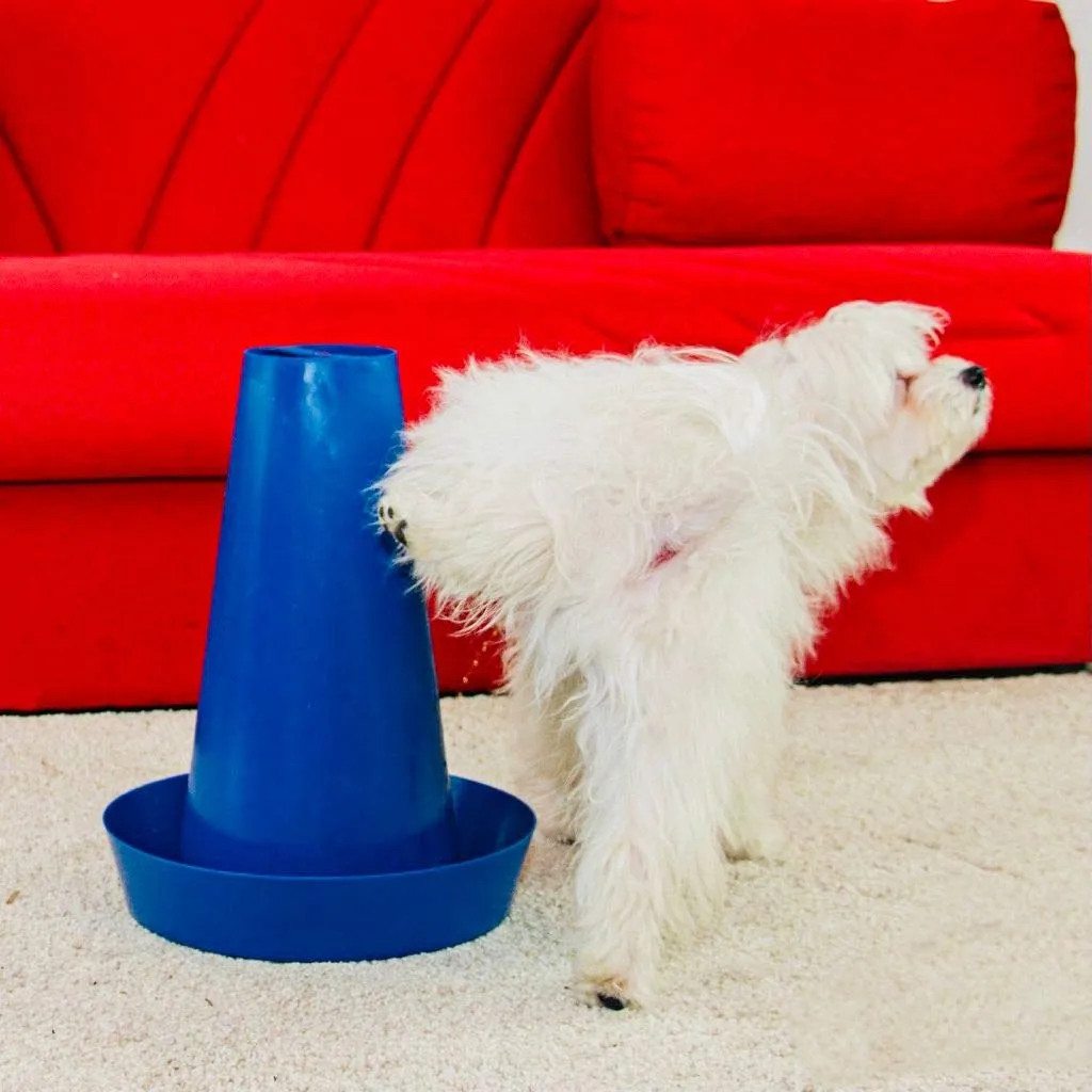 PIPPi WC per Cani Maschi – Vasino per Cani da Interno ed Esterno – Colonna Orinatoio Lavabile – Alternativa alla Traversina Confezione da 1 Blu - immagine 6