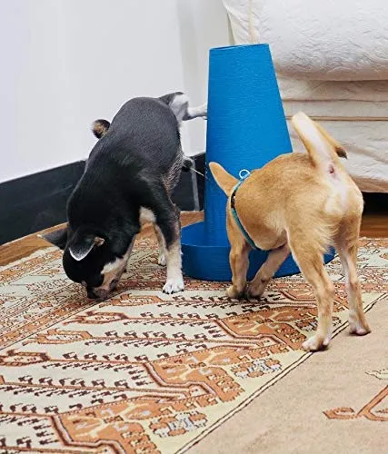 PIPPi WC per Cani Maschi – Vasino per Cani da Interno ed Esterno – Colonna Orinatoio Lavabile – Alternativa alla Traversina Confezione da 1 Blu - immagine 9
