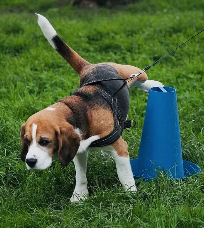 PIPPi WC per Cani Maschi – Vasino per Cani da Interno ed Esterno – Colonna Orinatoio Lavabile – Alternativa alla Traversina Confezione da 1 Blu - immagine 11