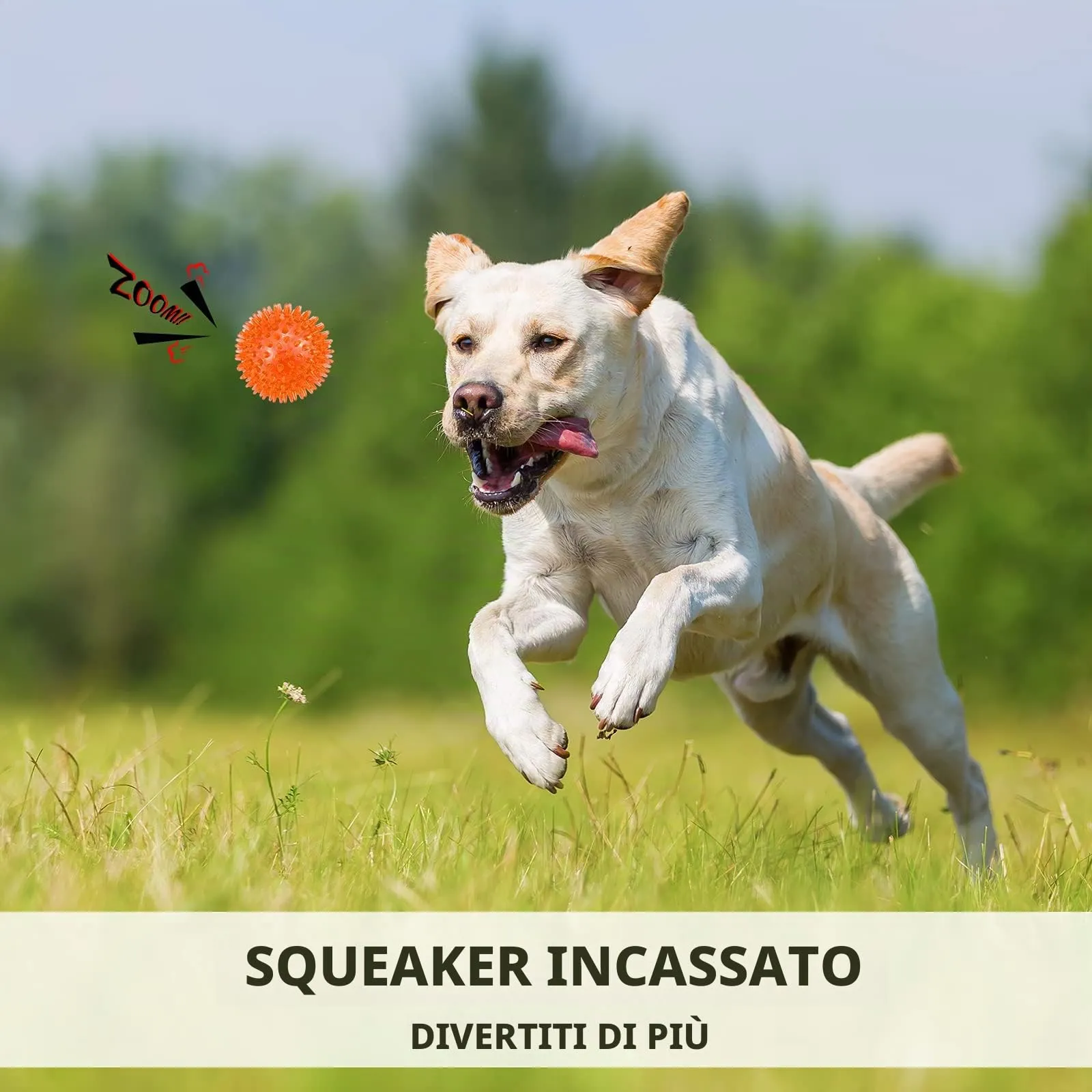 petizer - Set di 3 palline per cani, giocattolo galleggiante per cani e gatti, per cani da masticare in gomma, per la noia, la pulizia dei denti per cani di piccola e media taglia - immagine 5