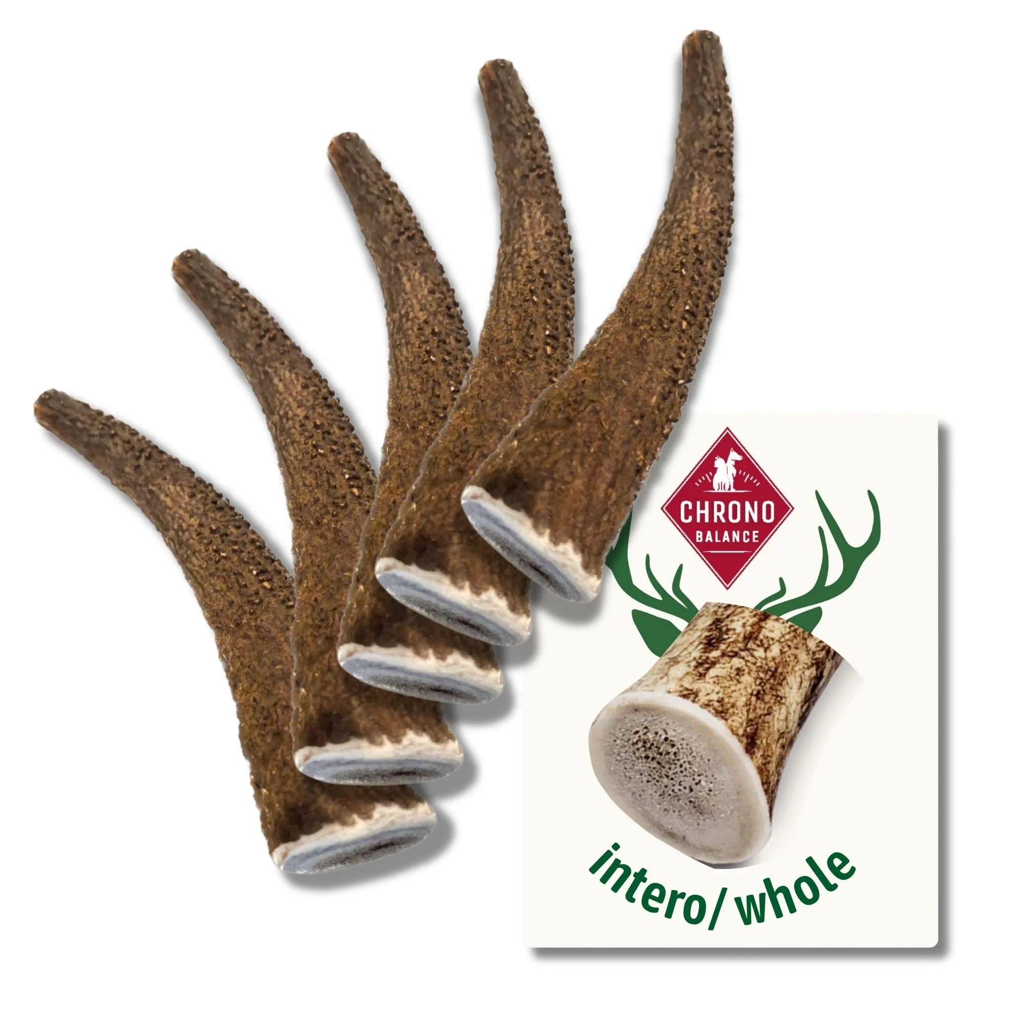 ChronoBalance® (S - Set di 5) Geweih-Kaustange für Hunde ganze Stücke als Kauspielzeug: 100% Hirschgeweih Hundespielzeug, Leckerli Zahnpflege, Kausnack, Geweih Kauknochen, natürlich ohne Zusätze - immagine 1