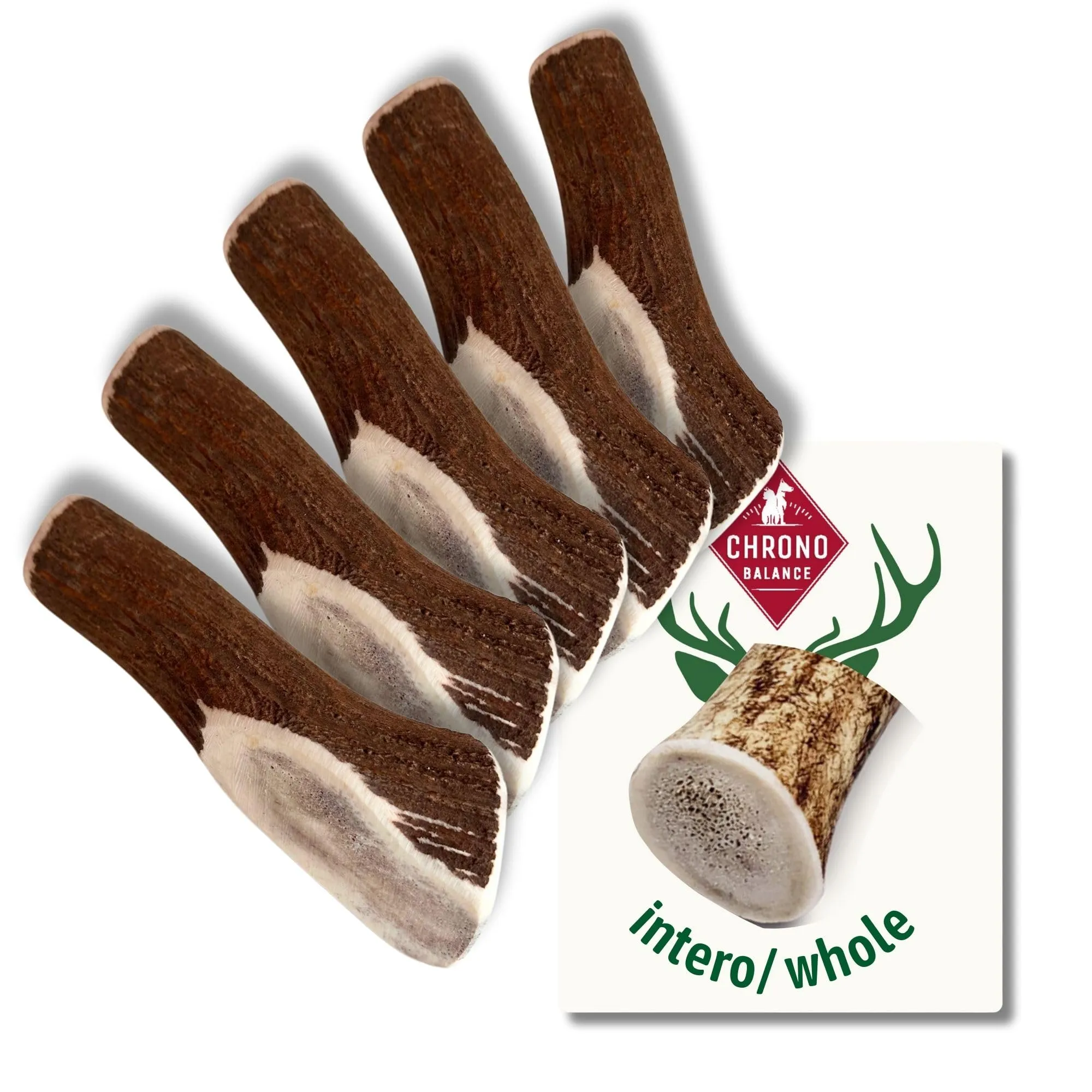 ChronoBalance-XXL Corno di Cervo per Cani, Confezione da 5, 100% Naturale, Pezzi Interi, Cura Dentale, Giocattolo per Cani, Ricco di Minerali e Nutrienti, Lunga Durata - immagine 1