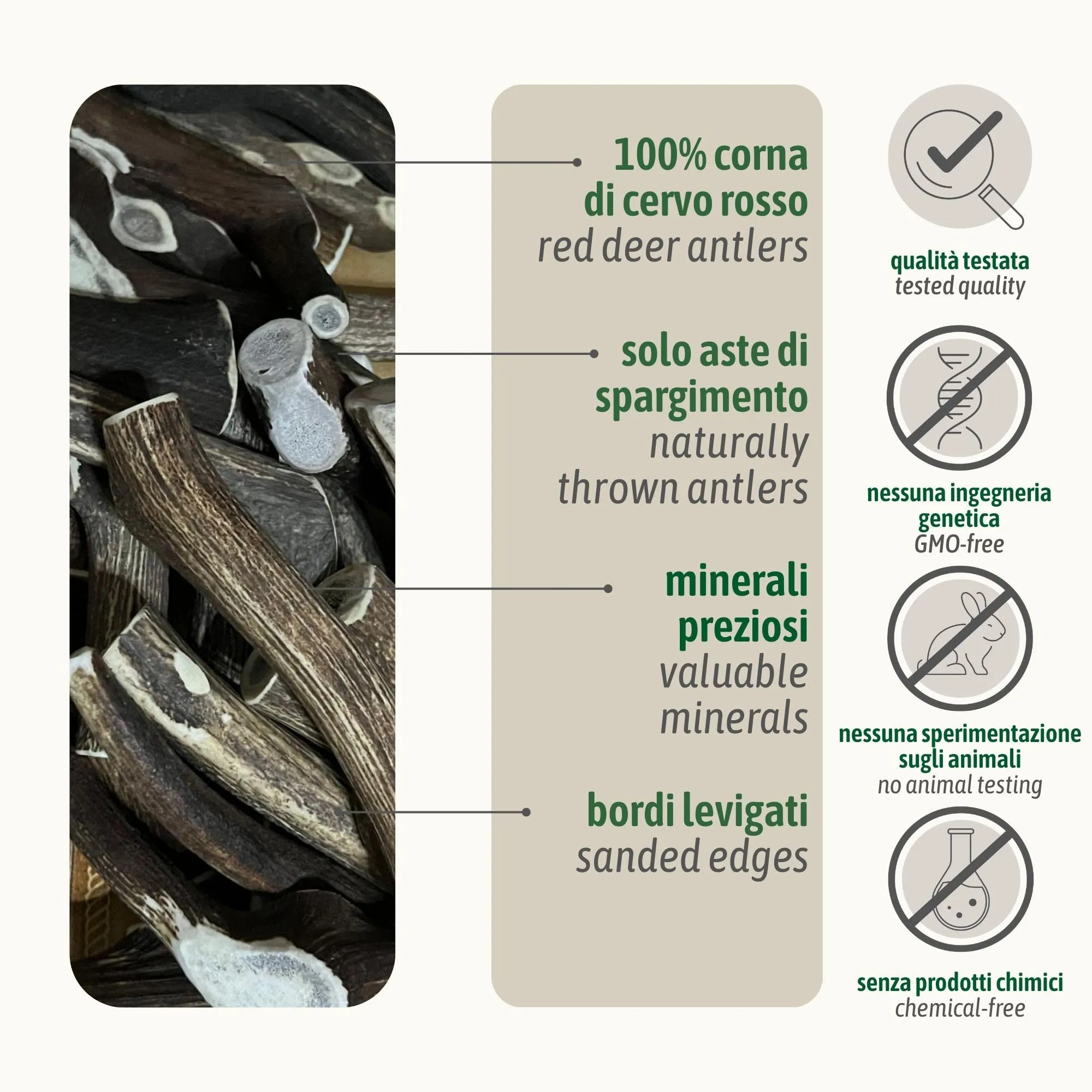 ChronoBalance-M Corno di Cervo per Cani, Confezione da 1, 100% Naturale, Pezzi Interi, Cura Dentale, Giocattolo per Cani, Ricco di Minerali e Nutrienti, Lunga Durata - immagine 4