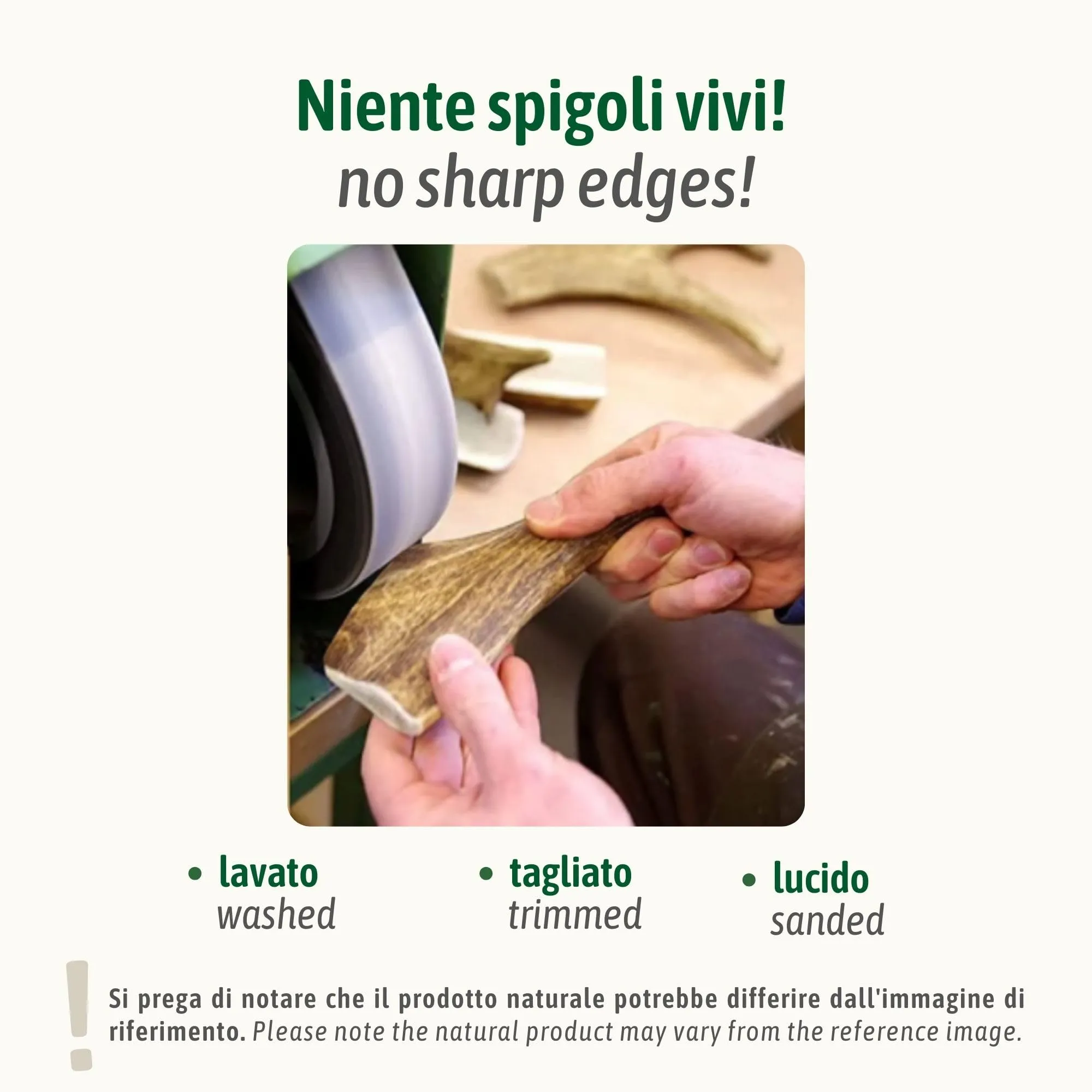 ChronoBalance-XL Corno di Cervo per Cani, Confezione da 5, 100% Naturale, Pezzi Interi, Cura Dentale, Giocattolo per Cani, Ricco di Minerali e Nutrienti, Lunga Durata - immagine 5