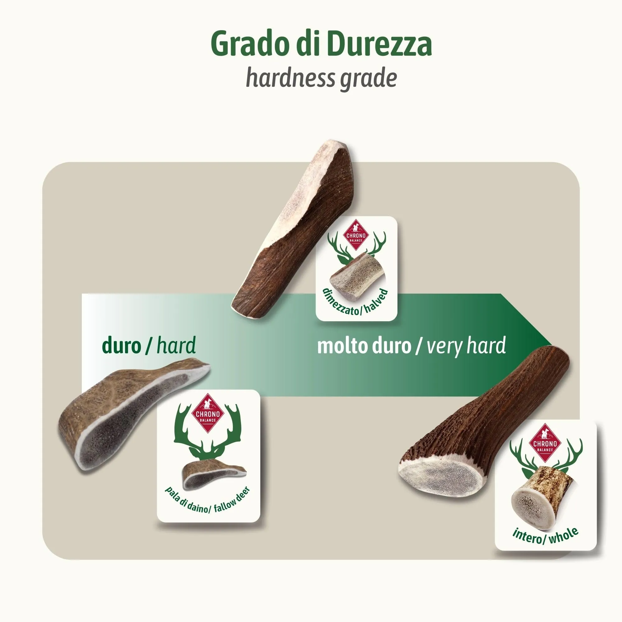 ChronoBalance-XL Corno di Cervo per Cani, Confezione da 5, 100% Naturale, Pezzi Interi, Cura Dentale, Giocattolo per Cani, Ricco di Minerali e Nutrienti, Lunga Durata - immagine 9
