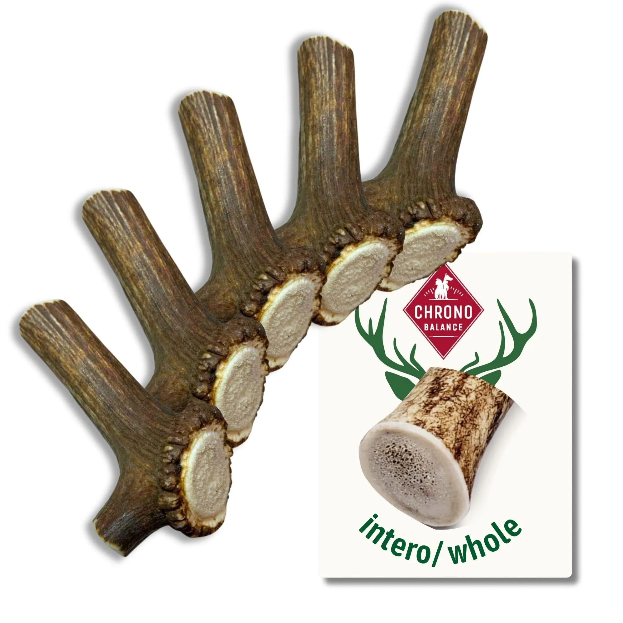 ChronoBalance-L Corno di Cervo per Cani, Confezione da 5, 100% Naturale, Pezzi Interi, Cura Dentale, Giocattolo per Cani, Ricco di Minerali e Nutrienti, Lunga Durata - immagine 1