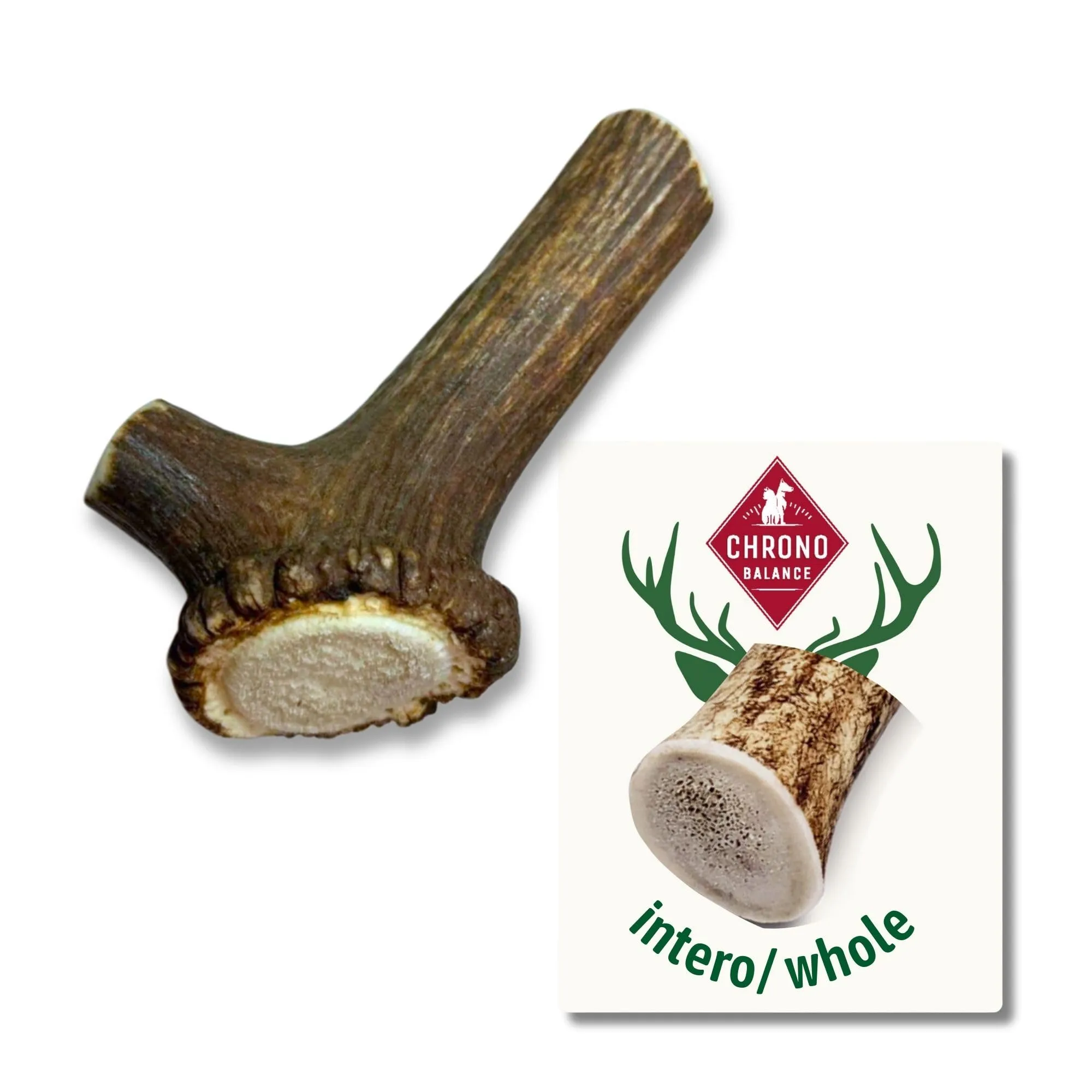 ChronoBalance-L Corno di Cervo per Cani, Confezione da 1, 100% Naturale, Pezzi Interi, Cura Dentale, Giocattolo per Cani, Ricco di Minerali e Nutrienti, Lunga Durata - immagine 1
