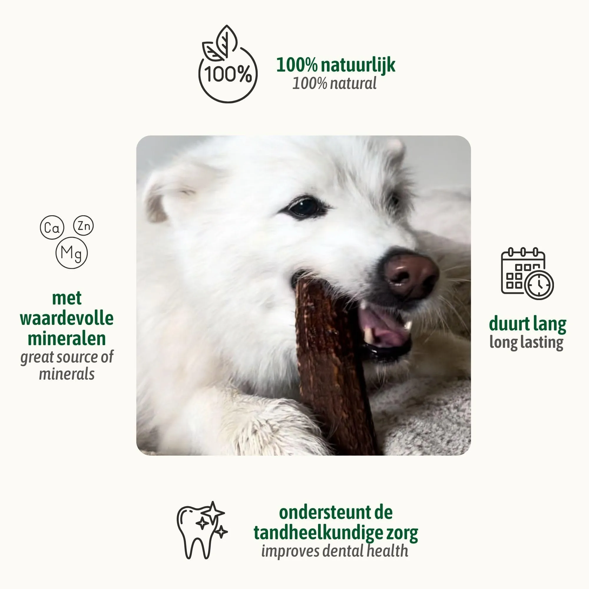 ChronoBalance-L Corno di Cervo per Cani, Confezione da 1, 100% Naturale, Pezzi Interi, Cura Dentale, Giocattolo per Cani, Ricco di Minerali e Nutrienti, Lunga Durata - immagine 2