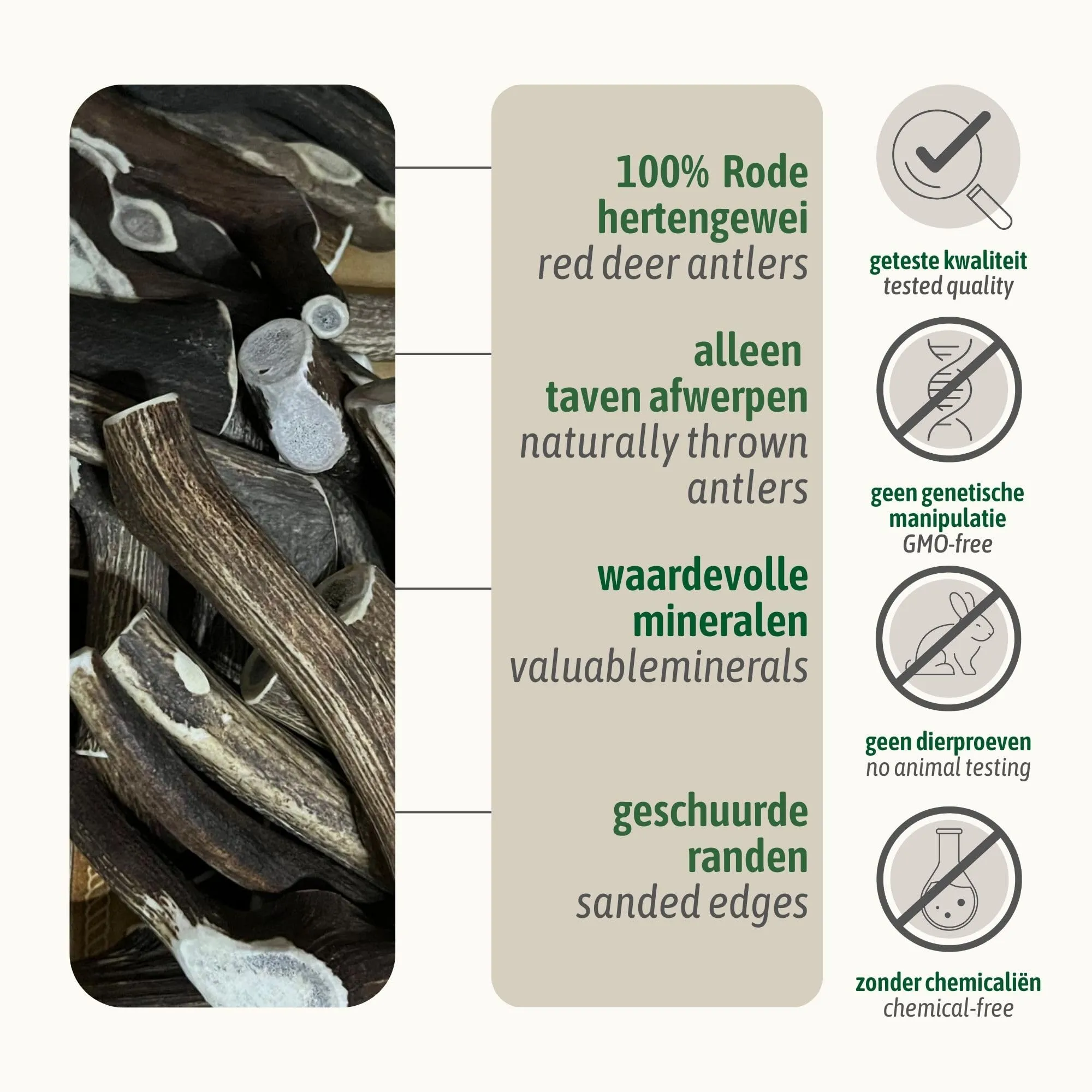 ChronoBalance-L Corno di Cervo per Cani, Confezione da 1, 100% Naturale, Pezzi Interi, Cura Dentale, Giocattolo per Cani, Ricco di Minerali e Nutrienti, Lunga Durata - immagine 4