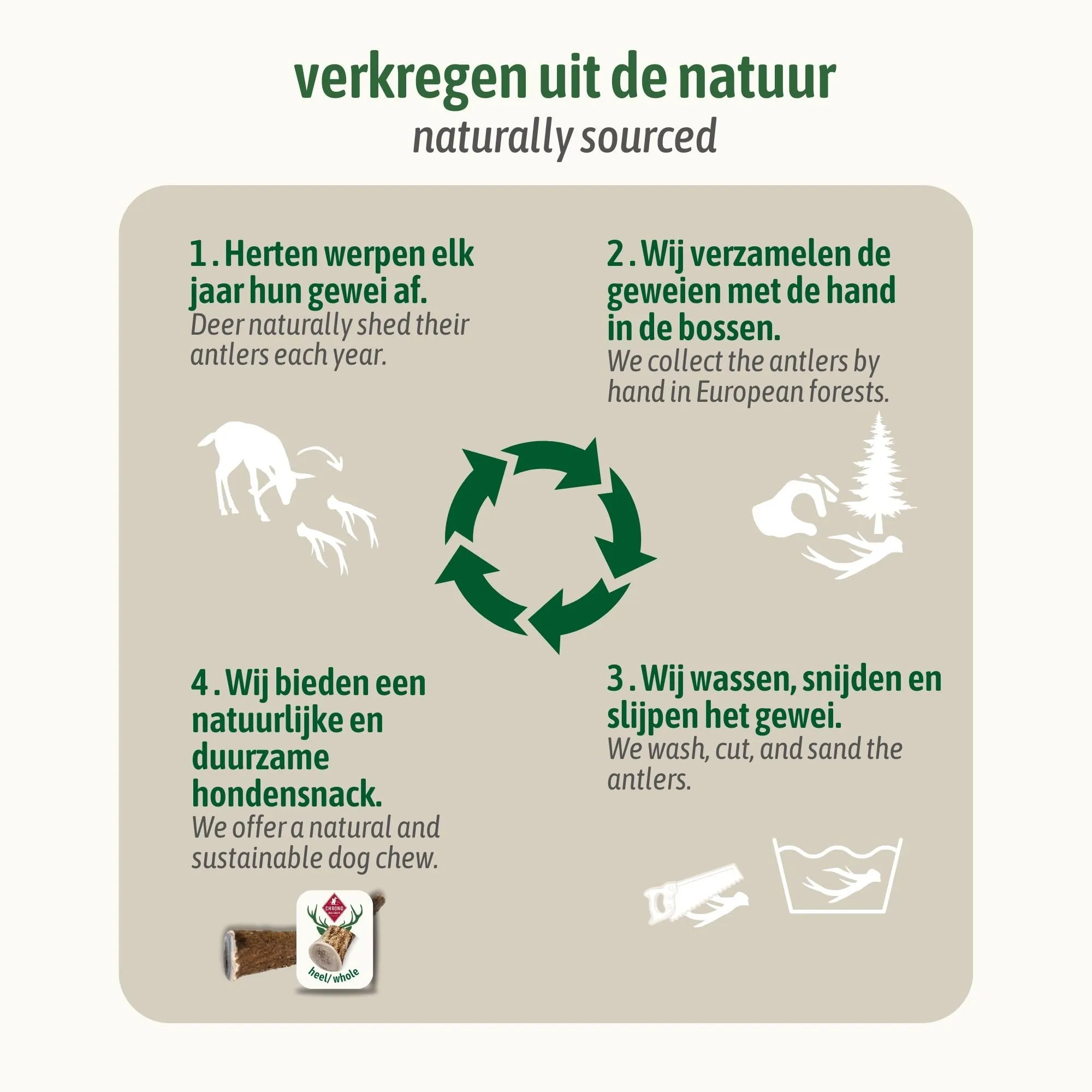 ChronoBalance-L Corno di Cervo per Cani, Confezione da 1, 100% Naturale, Pezzi Interi, Cura Dentale, Giocattolo per Cani, Ricco di Minerali e Nutrienti, Lunga Durata - immagine 8