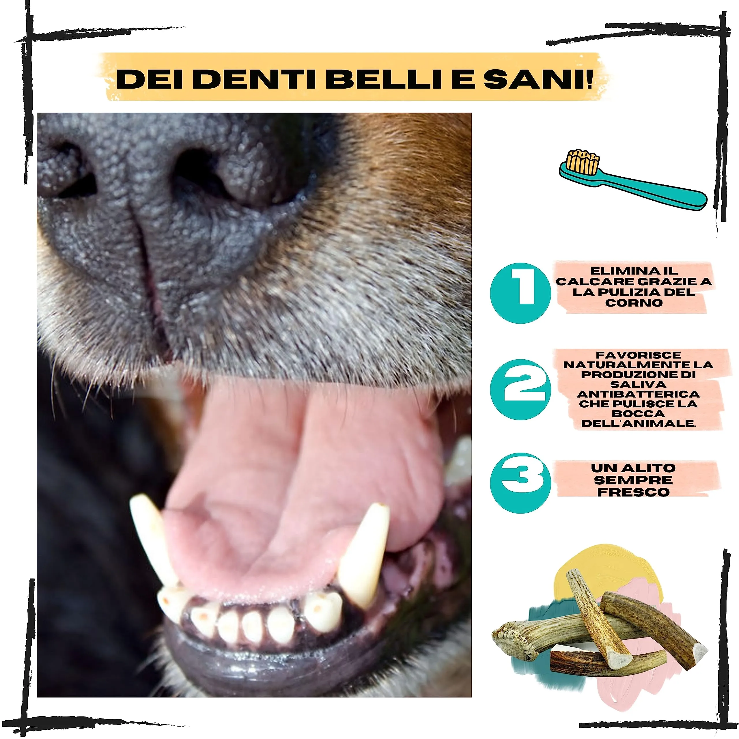 Corno di Cervo per Cani, Taglia XL 30 a 45 Kg - immagine 4