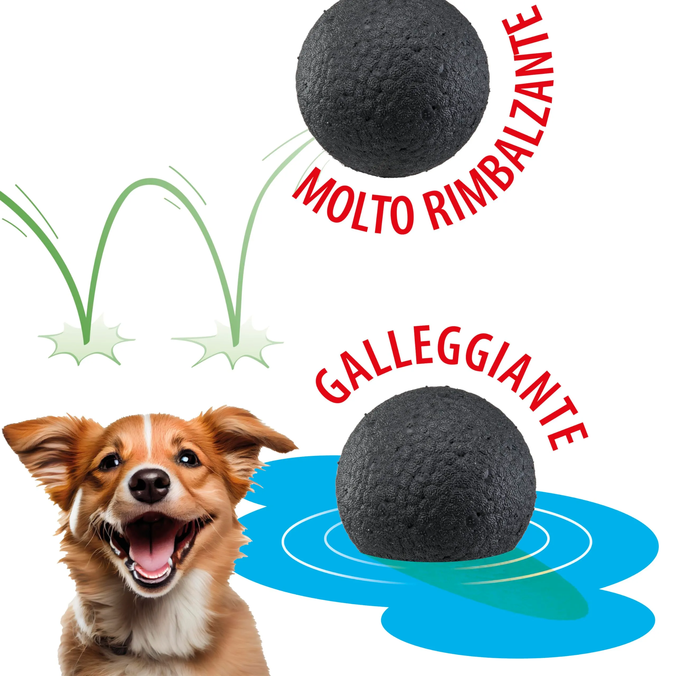 Ferplast Chewa Boing Palla per Cane Grande - Pallina in Materiale Durevole, Atossico, Resistente ai Morsi per Igiene Dentale, Rimbalza e Galleggia - Nero - immagine 2