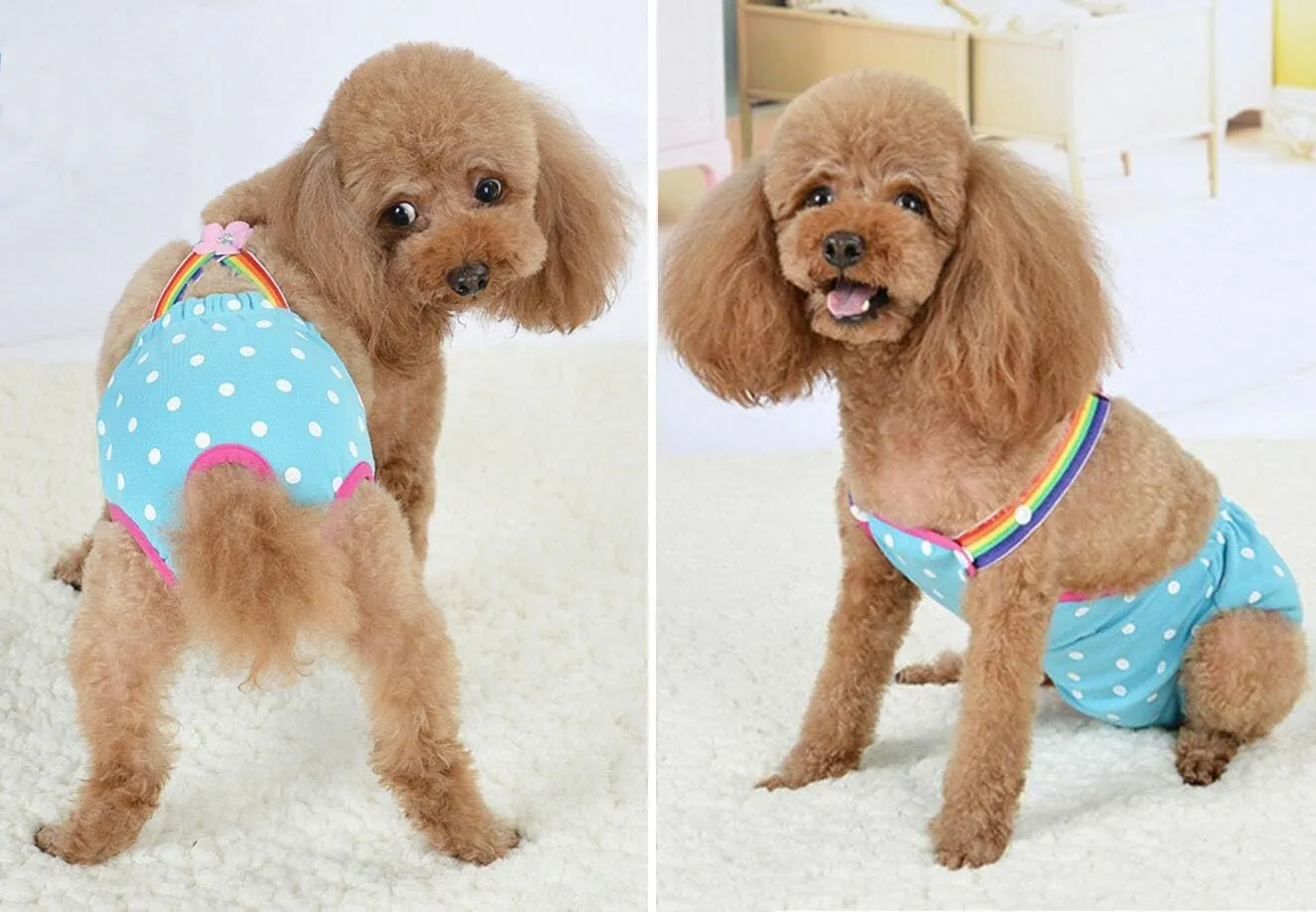 Oyccen 2 Pezzi Pantaloni Sanitari per Cani di Piccola Taglia Igiene Mutandine a Bretelle Pannolino Fisiologico del Cucciolo Pantaloni per Animali Domestici - immagine 6