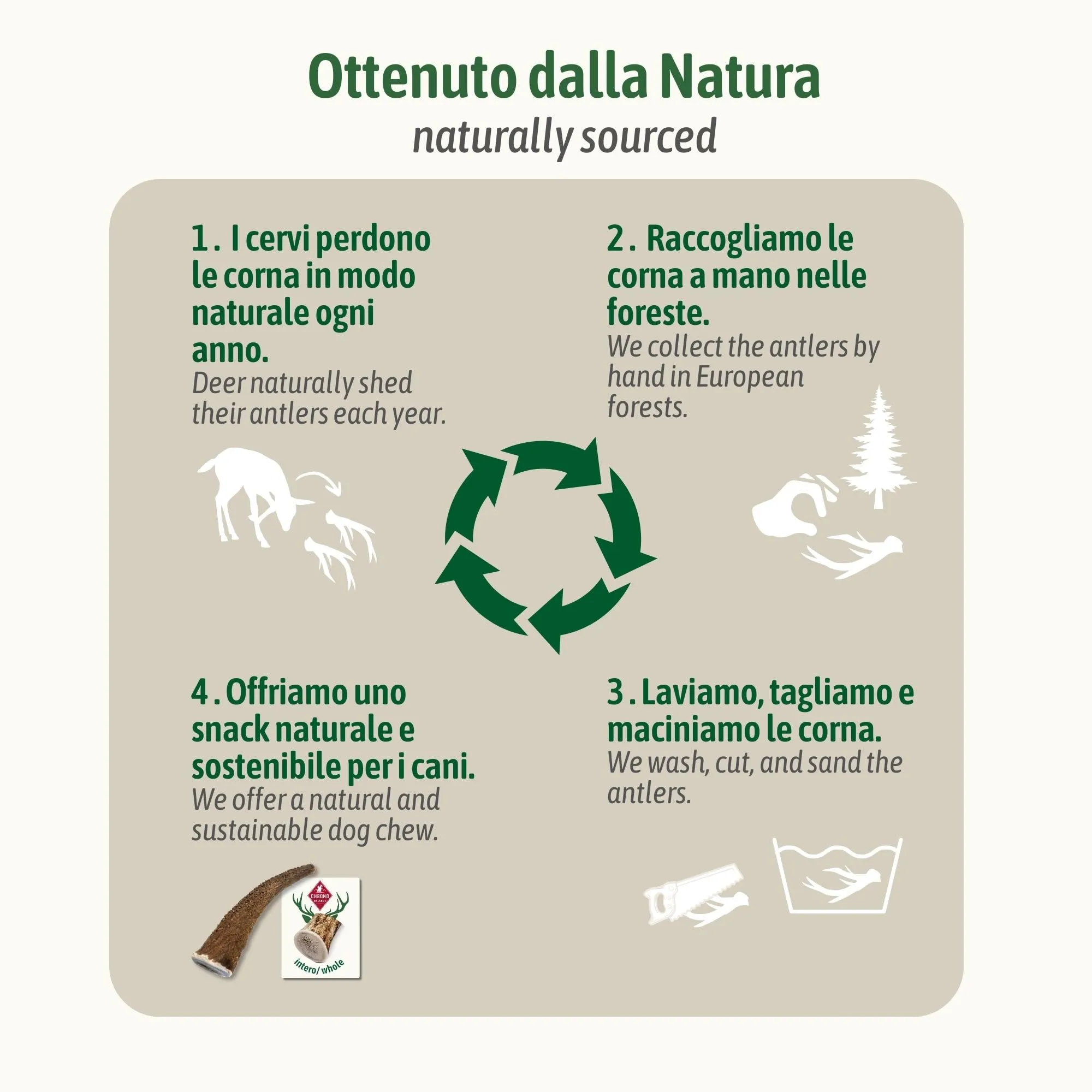 ChronoBalance-XL Corno di Cervo per Cani, Confezione da 2, 100% Naturale, Pezzi Interi, Cura Dentale, Giocattolo per Cani, Ricco di Minerali e Nutrienti, Lunga Durata - immagine 8