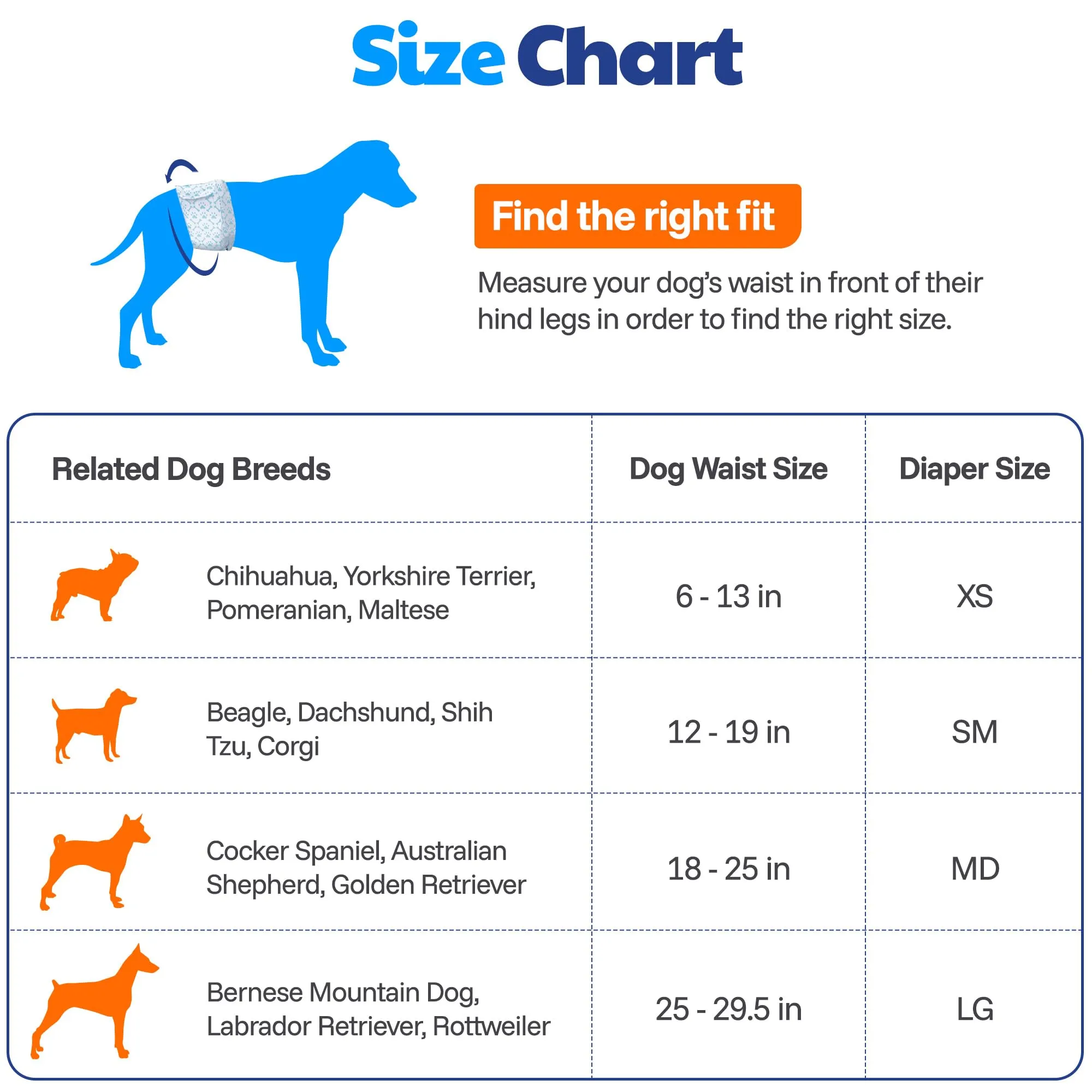 American Kennel Club Pannolini usa e getta per cani maschi, con indicatore di umidità, XS, 50 pezzi - immagine 5