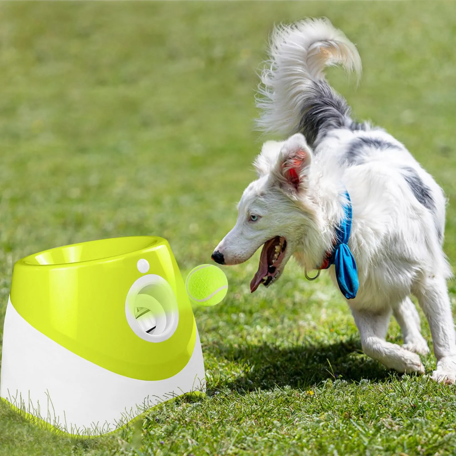 Galatée Lanciatrice Automatica a Sfera, Lanciagranate Per Palline Interattiva, Lanciagrana Automatica Per Cani, Lanciatore Di Palle Per Cani Con 6 Mini Palline Da Tennis(Verde Chiaro) - immagine 7