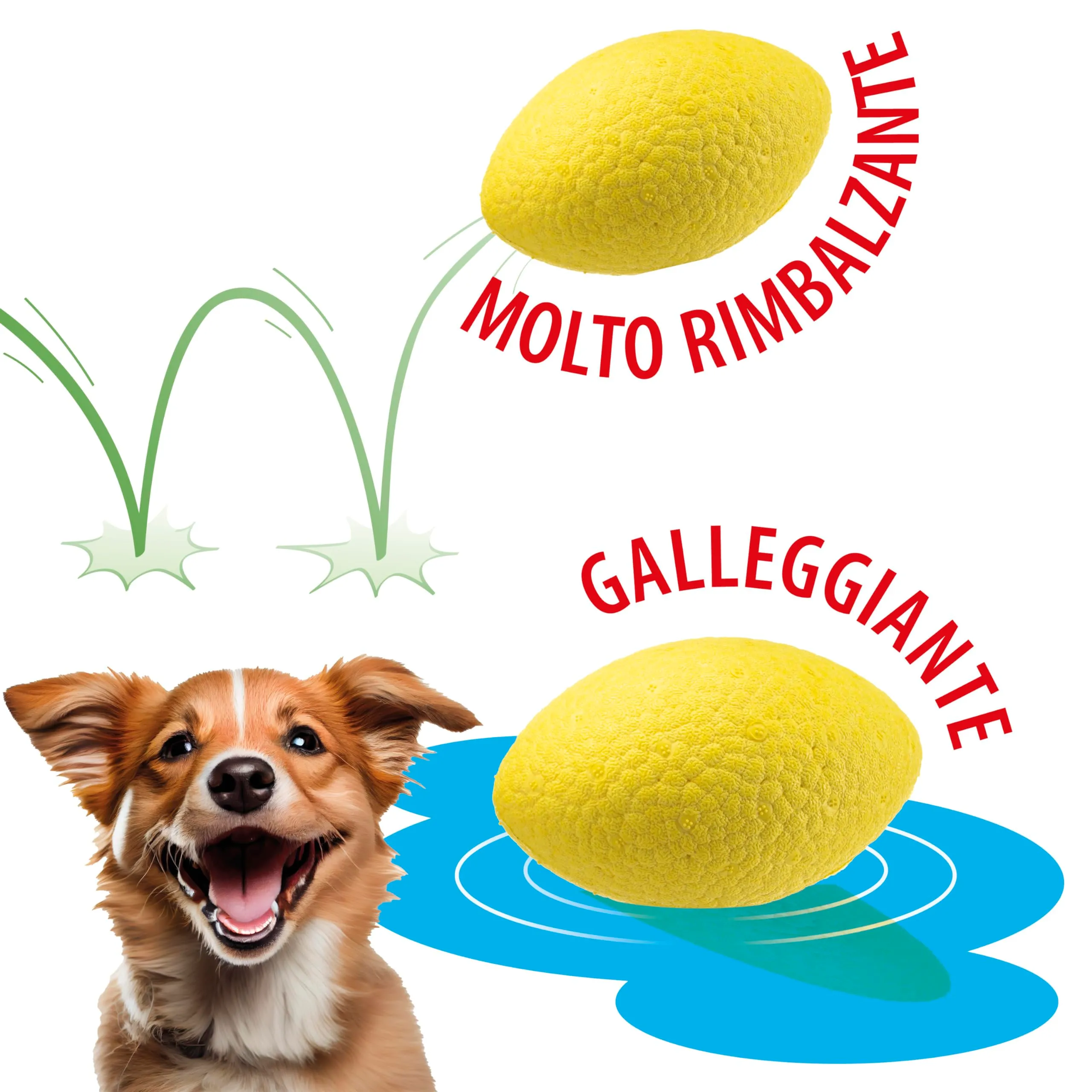 Ferplast Gioco per Cane in Materiale Durevole, Atossico, Resistente ai Morsi, per Igiene Dentale, Rimbalza e Galleggia, CHEWA BOING RUGBY Pallina, per Cani Grandi, Nero - immagine 5