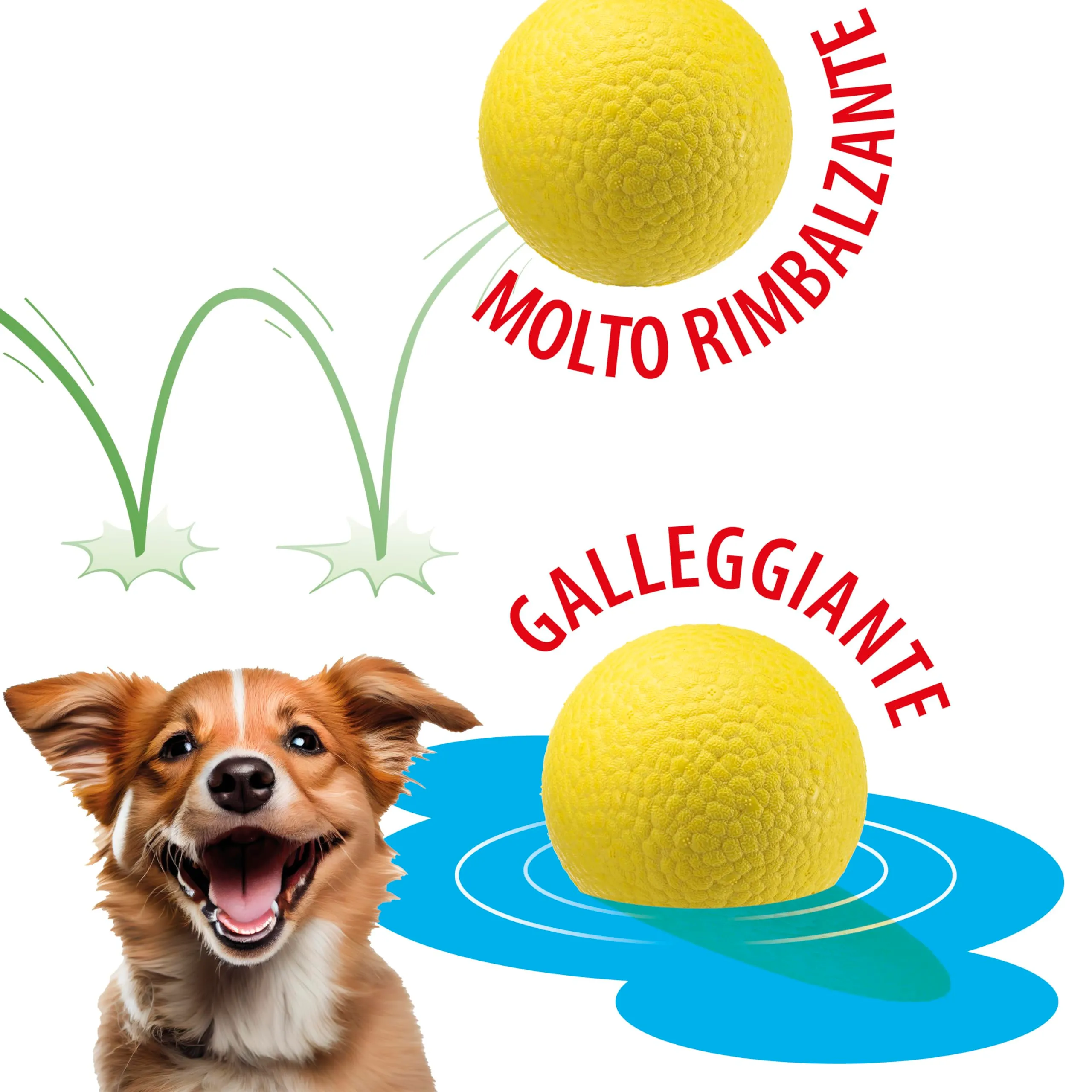 Ferplast CHEWA BOING BALL Giocattolo per Cani Super Rimbalzante e Galleggiante - Materiale innovativo resistente alla masticazione - Texture 3D per l'igiene dentale - Ultra Durevole - Design Italiano - immagine 2