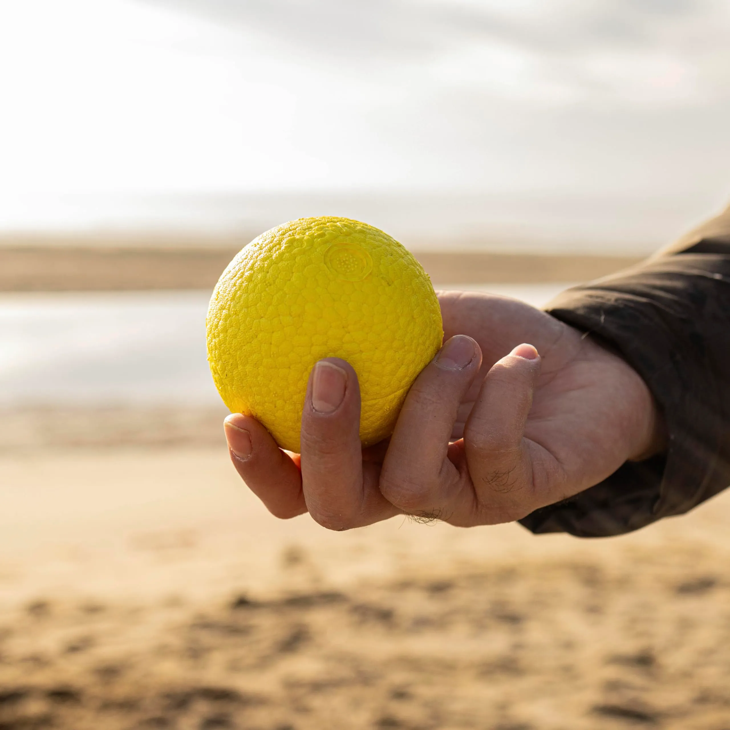 Ferplast CHEWA BOING BALL Giocattolo per Cani Super Rimbalzante e Galleggiante - Materiale innovativo resistente alla masticazione - Texture 3D per l'igiene dentale - Ultra Durevole - Design Italiano - immagine 5
