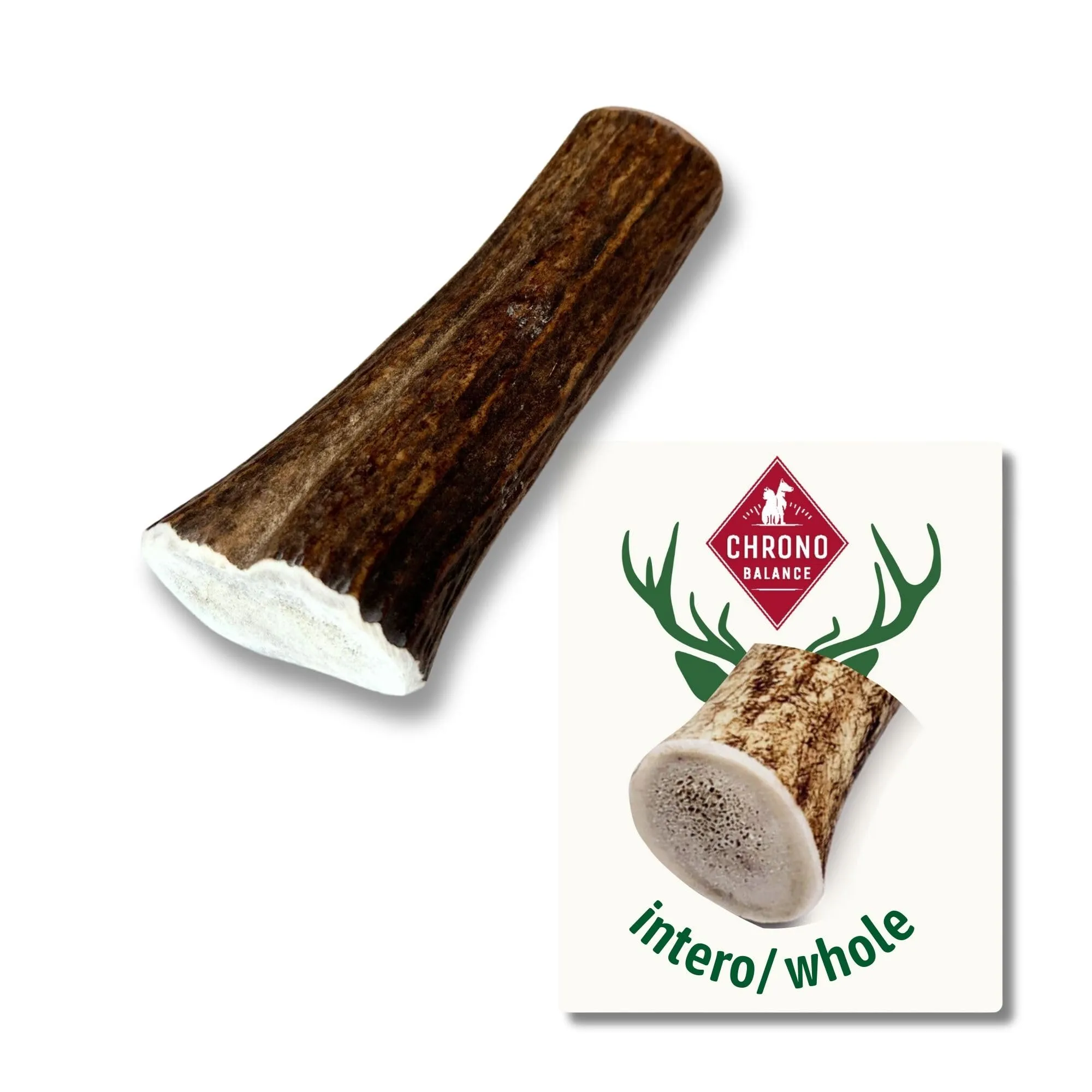 ChronoBalance-XS Corno di Cervo per Cani, Confezione da 1, 100% Naturale, Pezzi Interi, Cura Dentale, Giocattolo per Cani, Ricco di Minerali e Nutrienti, Lunga Durata - immagine 1