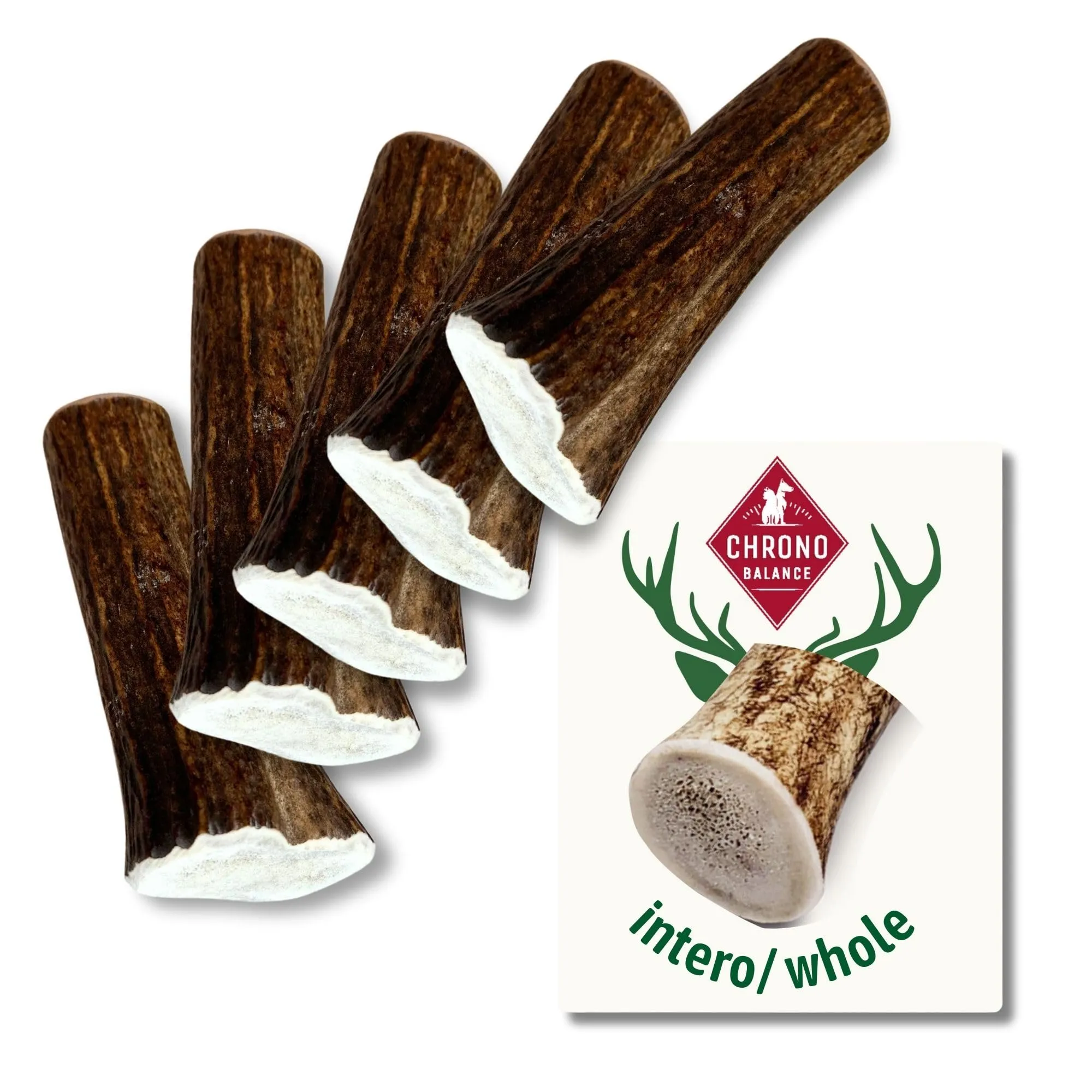 ChronoBalance-XS Corno di Cervo per Cani, Confezione da 5, 100% Naturale, Pezzi Interi, Cura Dentale, Giocattolo per Cani, Ricco di Minerali e Nutrienti, Lunga Durata - immagine 1