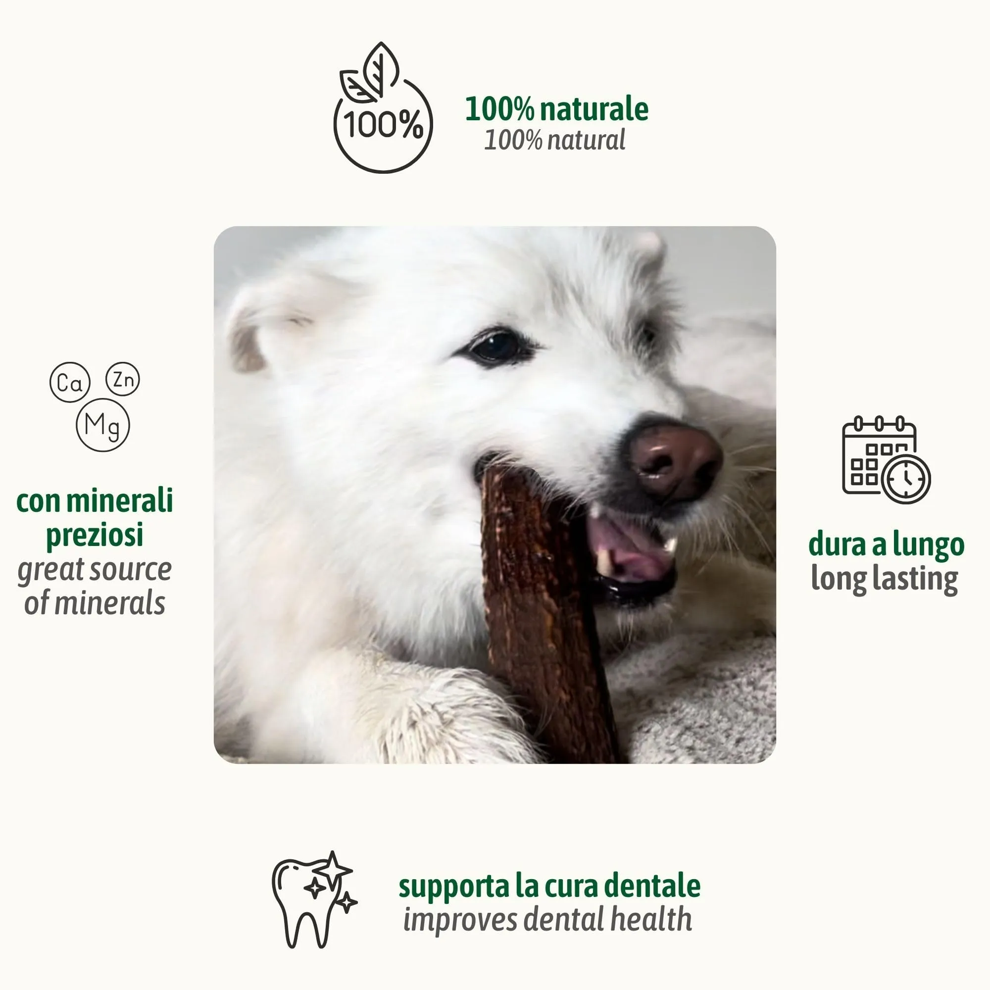 ChronoBalance-XS Corno di Cervo per Cani, Confezione da 5, 100% Naturale, Pezzi Interi, Cura Dentale, Giocattolo per Cani, Ricco di Minerali e Nutrienti, Lunga Durata - immagine 2