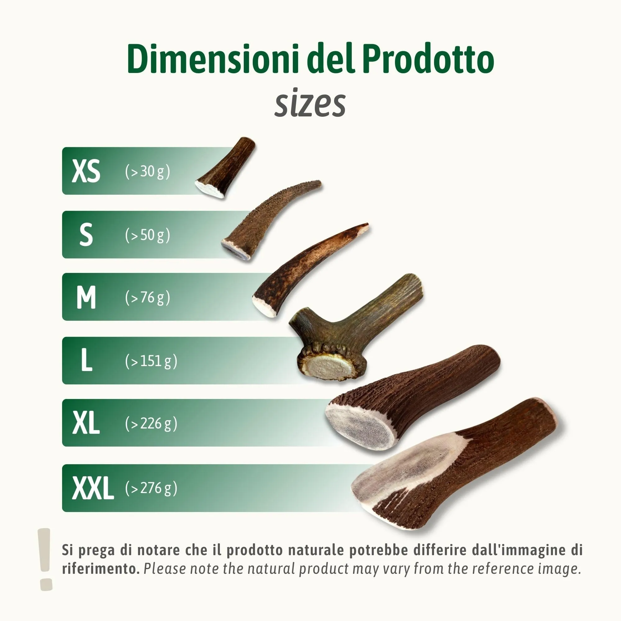 ChronoBalance-XS Corno di Cervo per Cani, Confezione da 2, 100% Naturale, Pezzi Interi, Cura Dentale, Giocattolo per Cani, Ricco di Minerali e Nutrienti, Lunga Durata - immagine 3