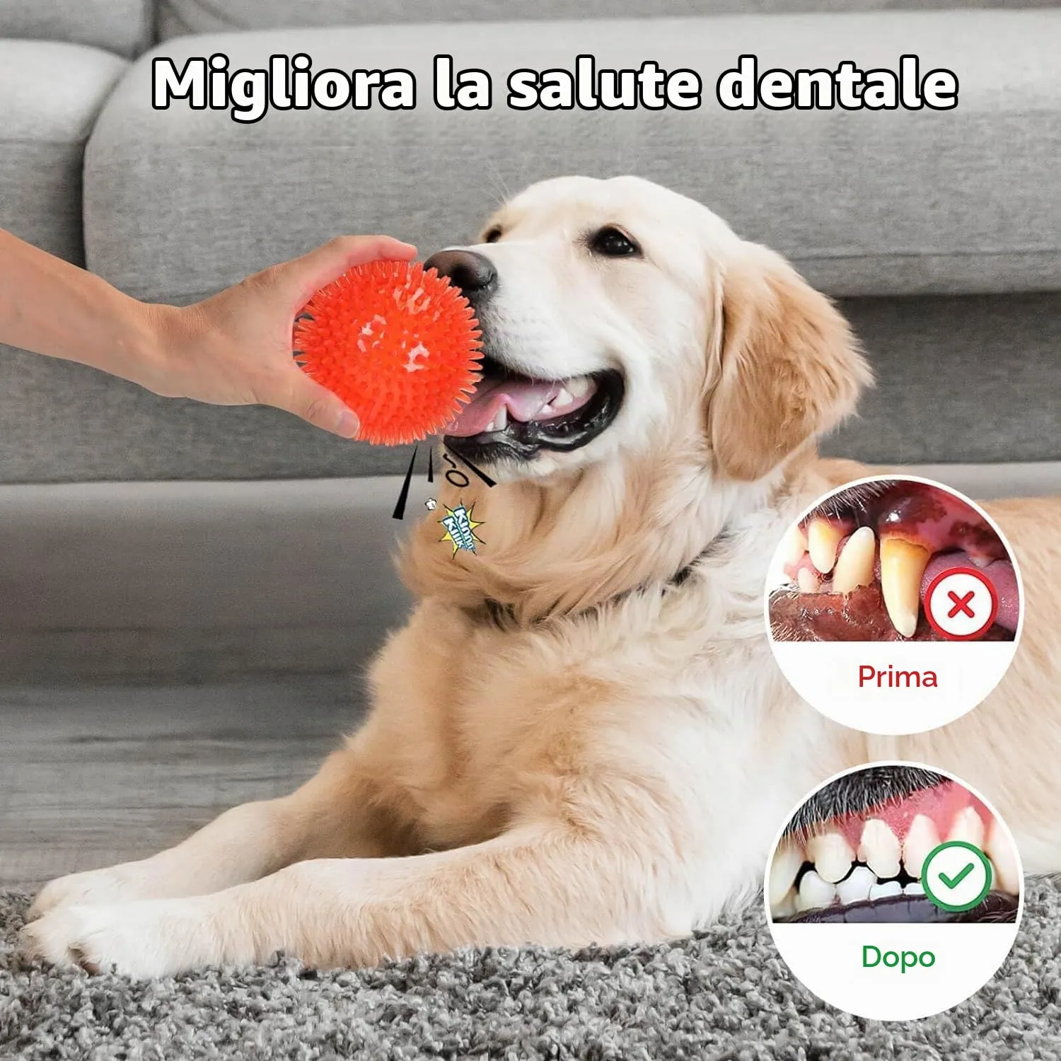 Petizer Confezione da 6 Palle Sonore da 6,5 cm per Cani - Giocattolo Spinoso da Masticare e da Piscina, Gomma TPR Galleggiante per Riporto, Pulizia dei Denti, Sollievo dalla Noia - Razze Piccole e - immagine 2