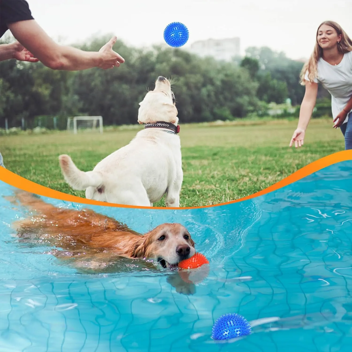 Petizer Confezione da 6 Palle Sonore da 6,5 cm per Cani - Giocattolo Spinoso da Masticare e da Piscina, Gomma TPR Galleggiante per Riporto, Pulizia dei Denti, Sollievo dalla Noia - Razze Piccole e - immagine 4