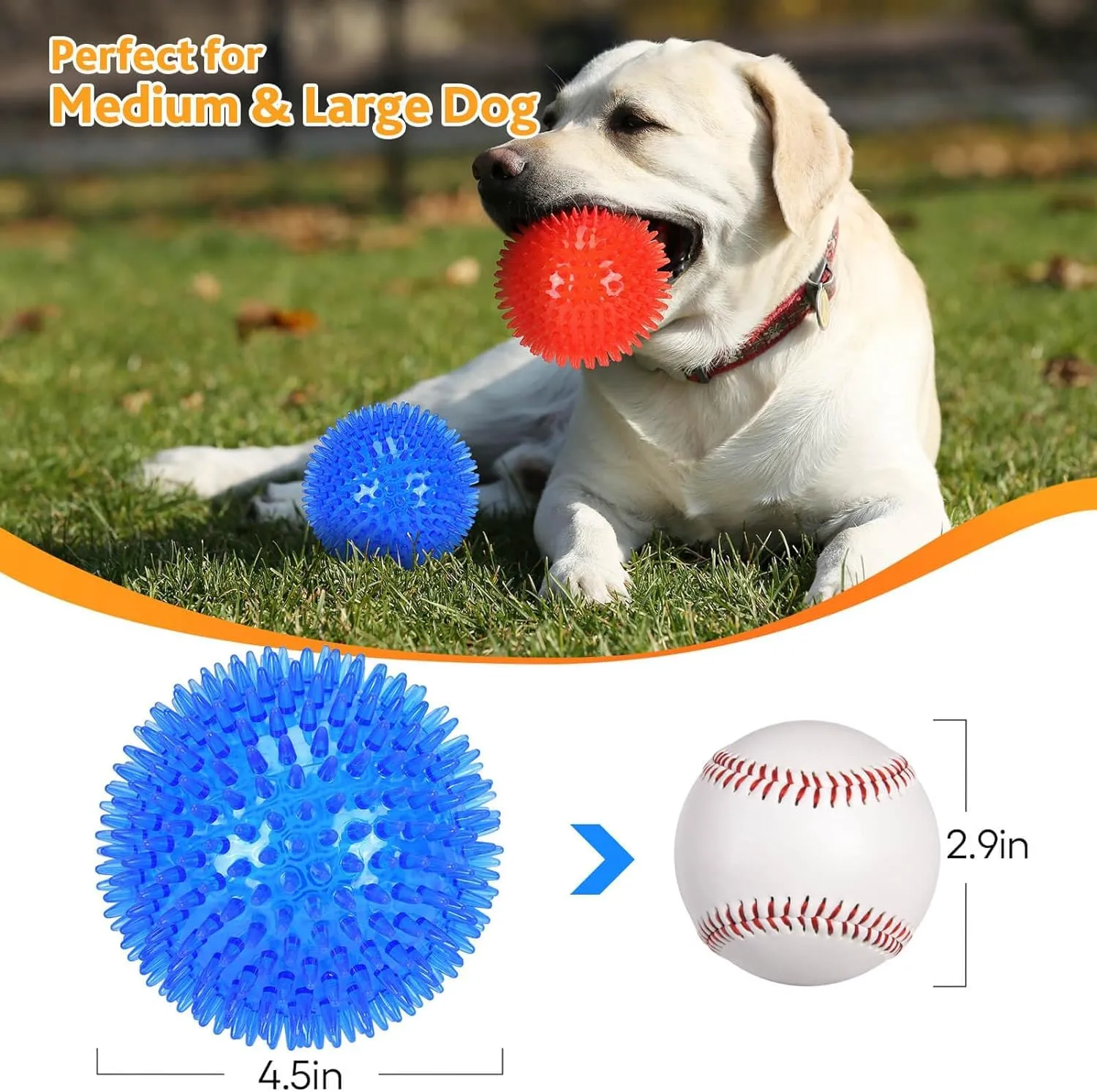 Petizer Confezione da 6 Palle Sonore da 6,5 cm per Cani - Giocattolo Spinoso da Masticare e da Piscina, Gomma TPR Galleggiante per Riporto, Pulizia dei Denti, Sollievo dalla Noia - Razze Piccole e - immagine 6